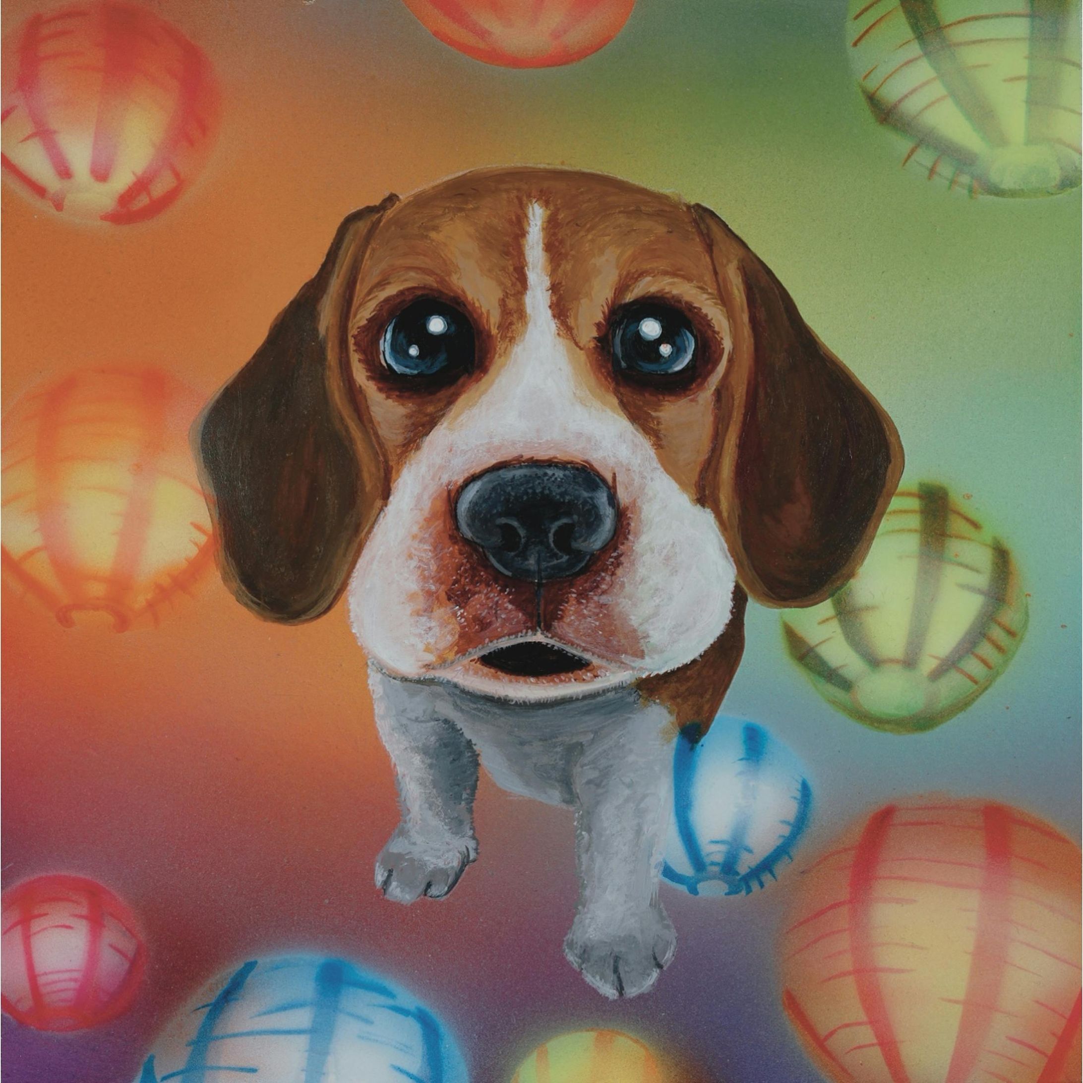 beagle-1