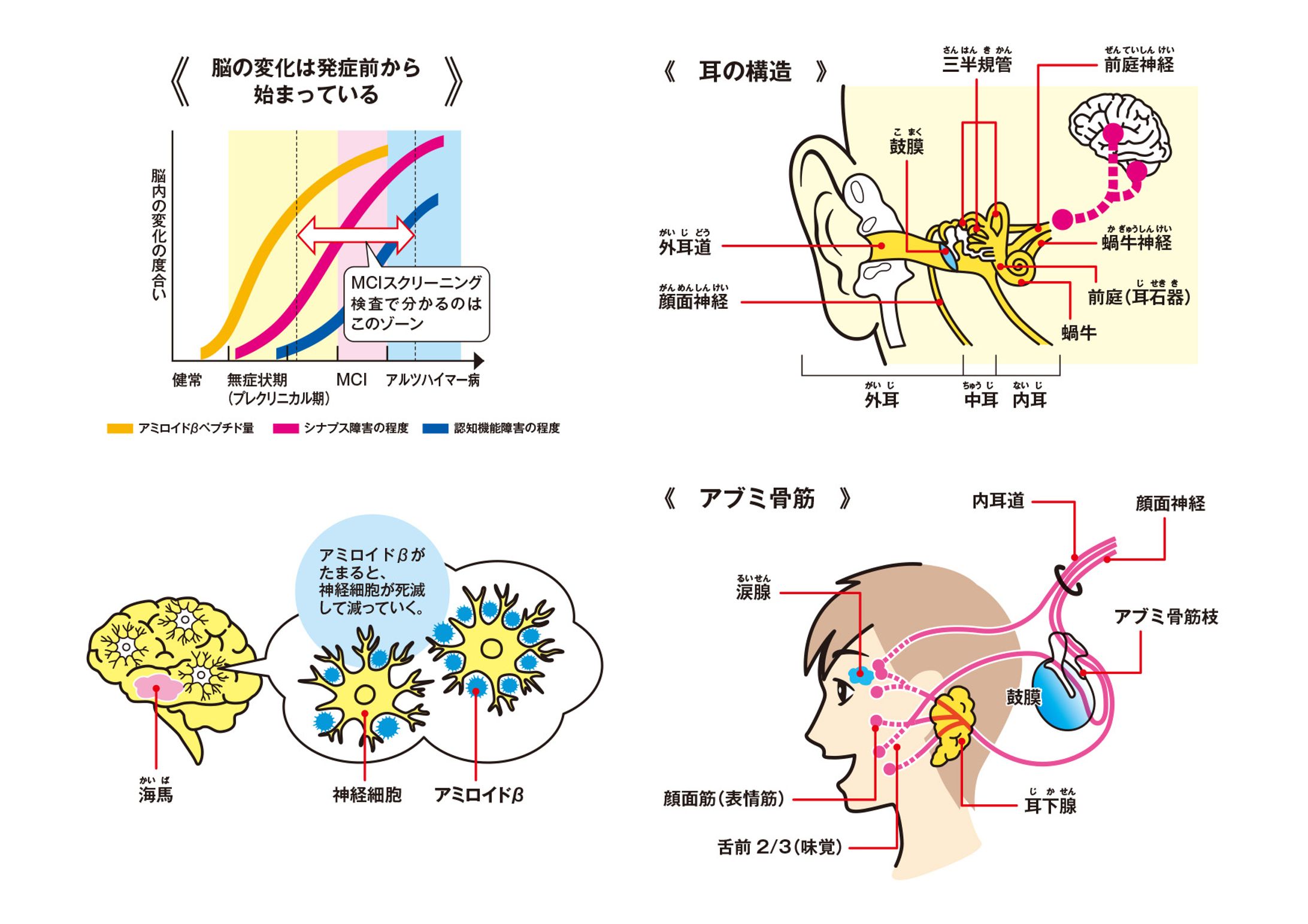 comuoonイラスト-1