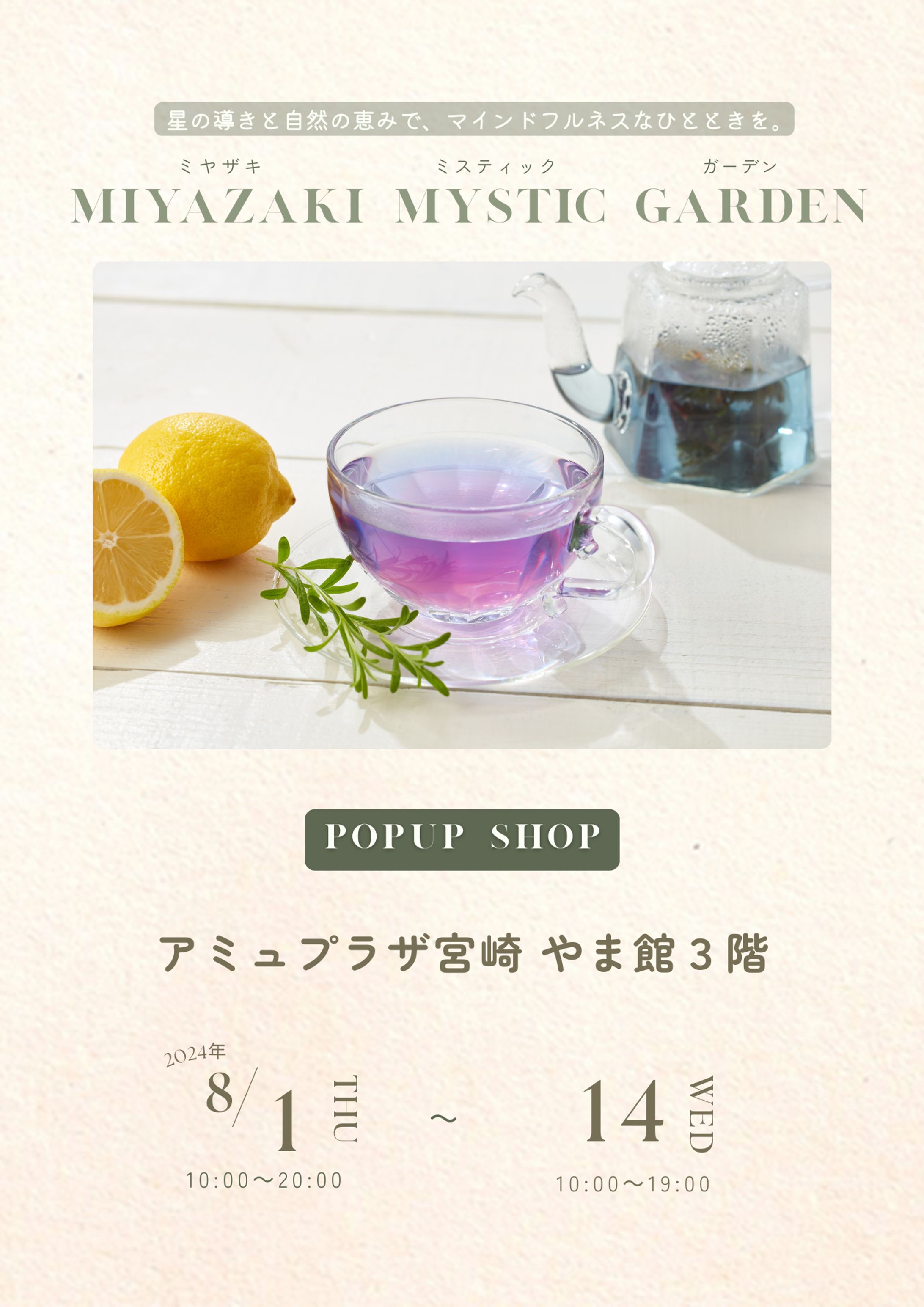 ハーブティー専門店のチラシ-1