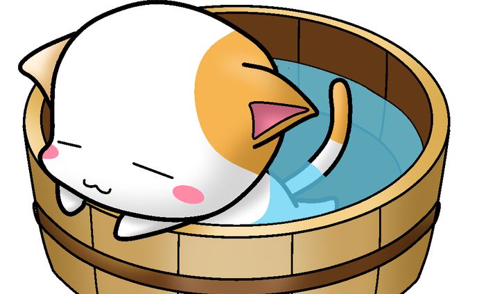 桶で涼むねこ