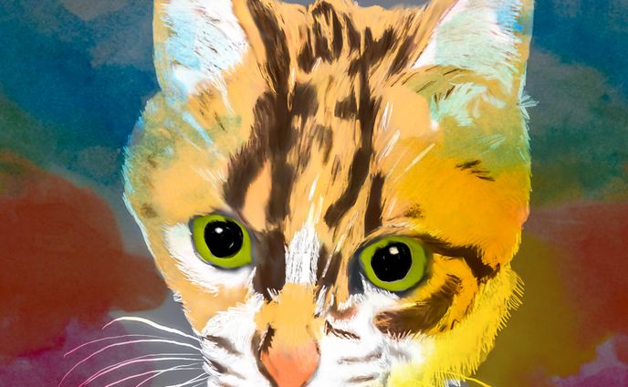 親戚の猫