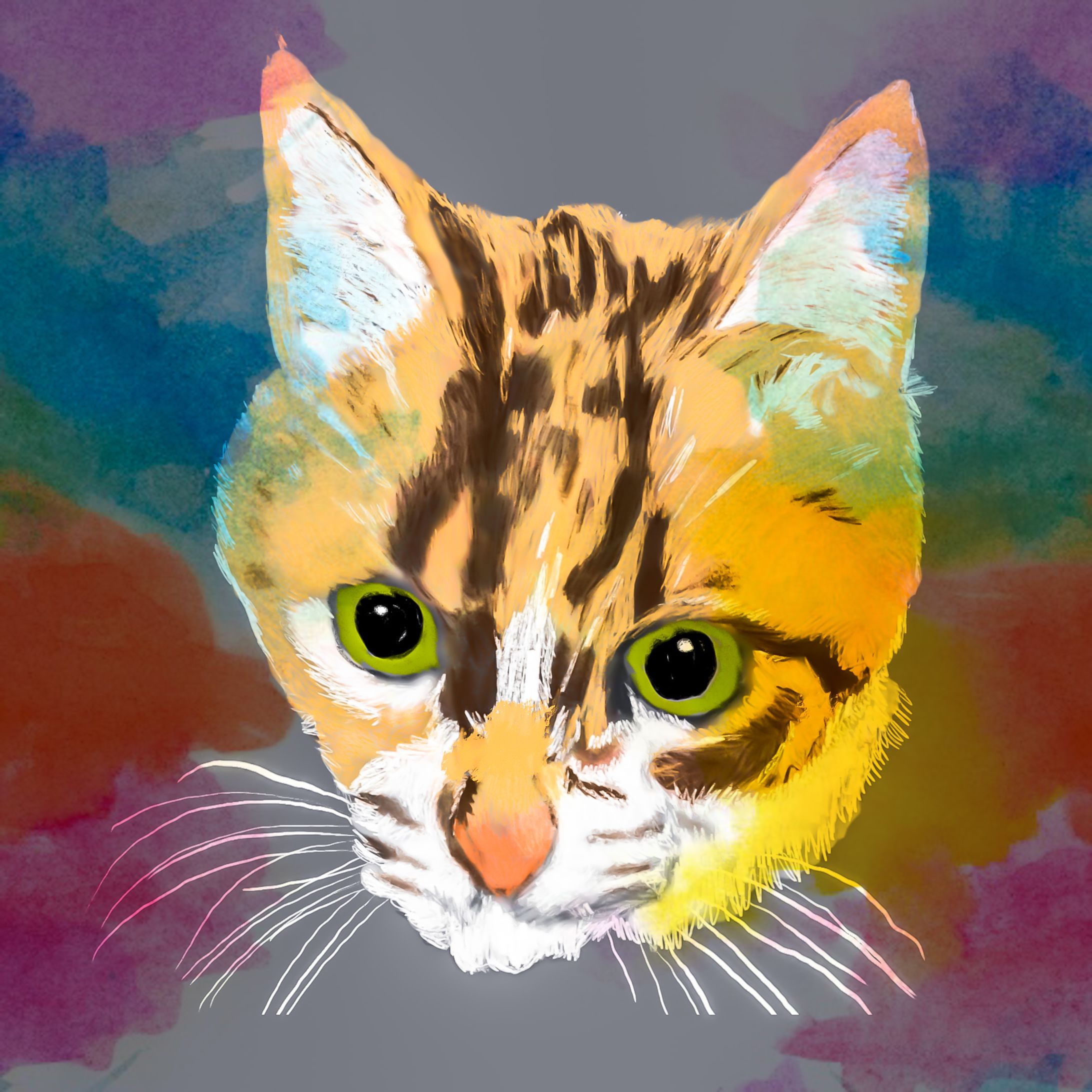 親戚の猫-1