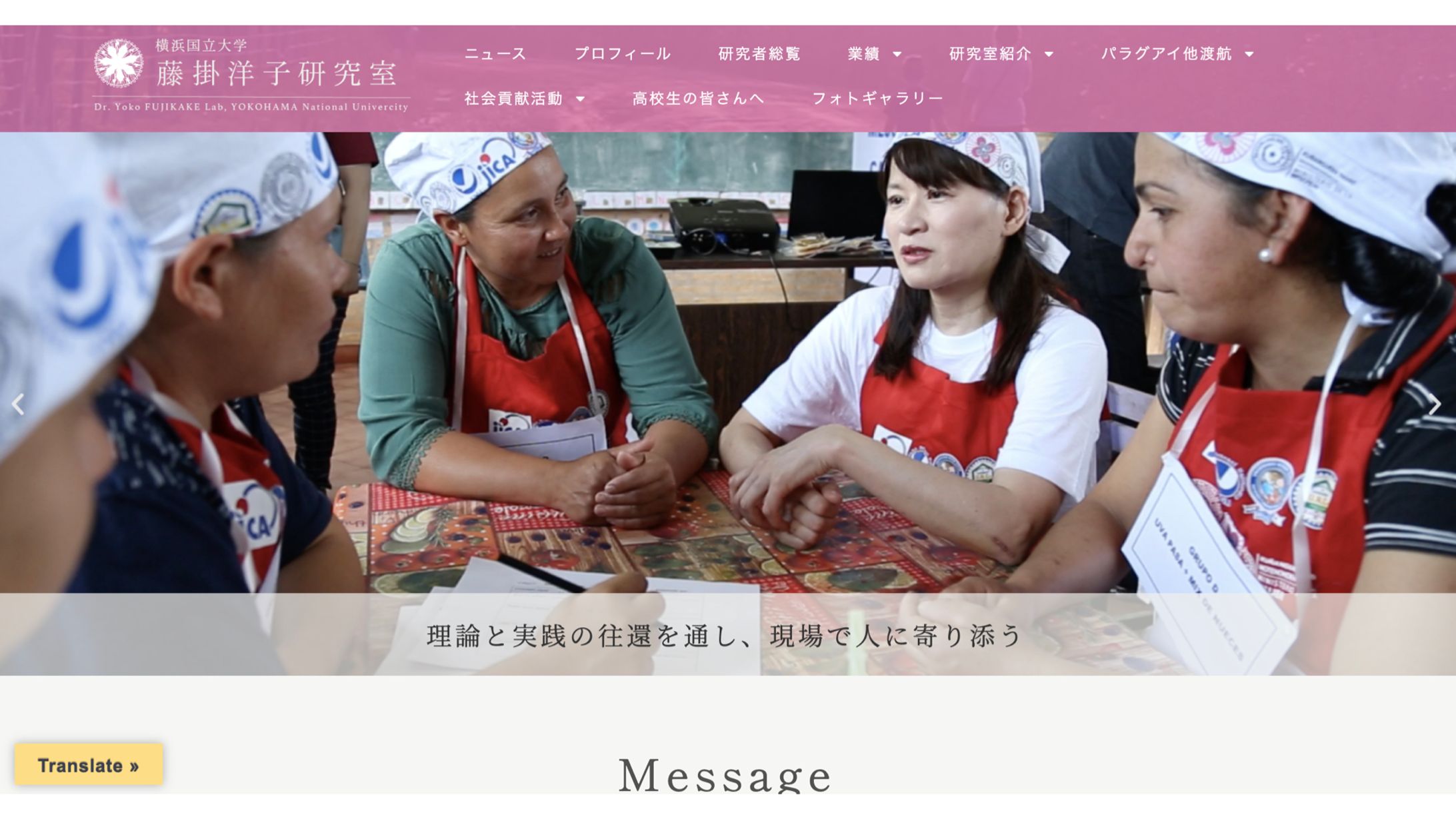 【横浜国立大学 藤掛洋子研究室さま】 サイト改修-1