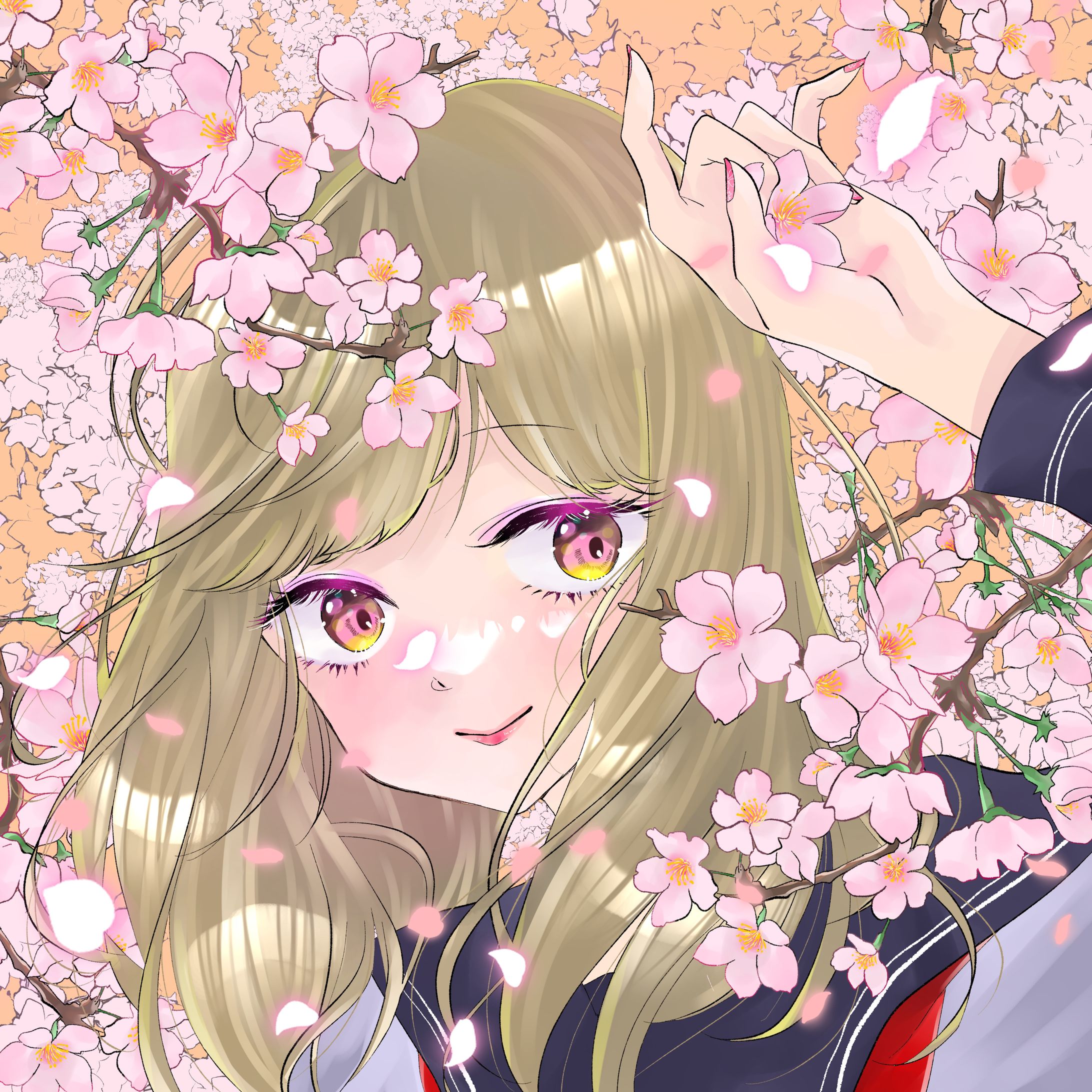 7FB6F12E B389 4FD8 A916 02B79FEF0354-1