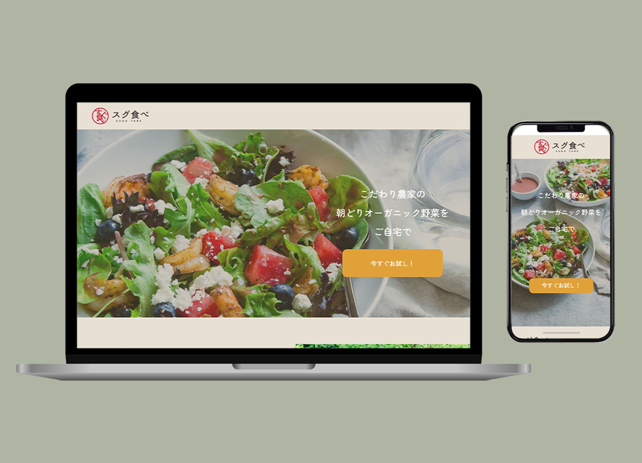 【LP/デジハリ課題】オーガニック野菜配達サービス-1