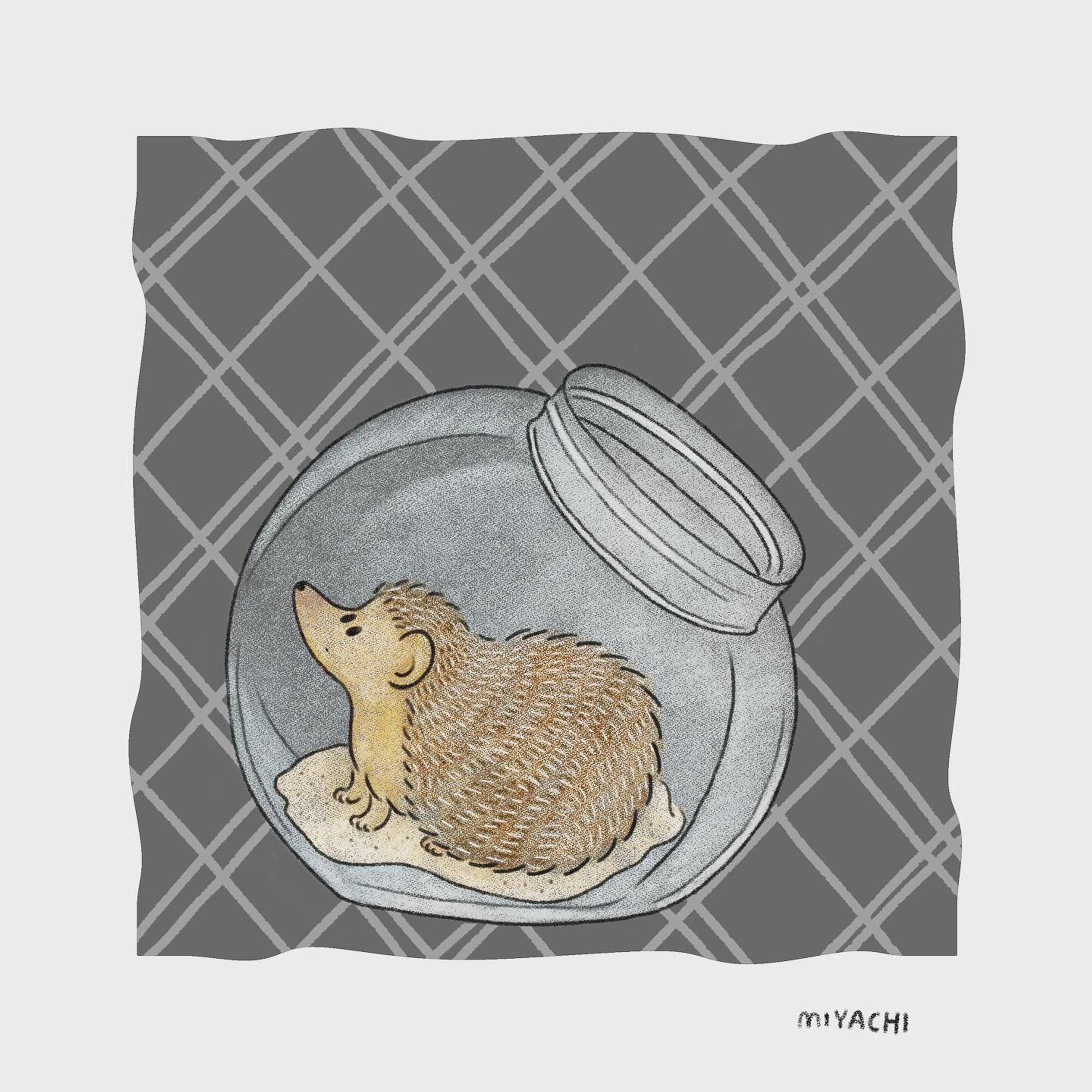 ハリネズミホイホイ

#イラストレーター#イラスト#デジタルイラスト#動物#ペット#ハリネズミ#illustrator#illustration#animal#pet#hedgehog-1