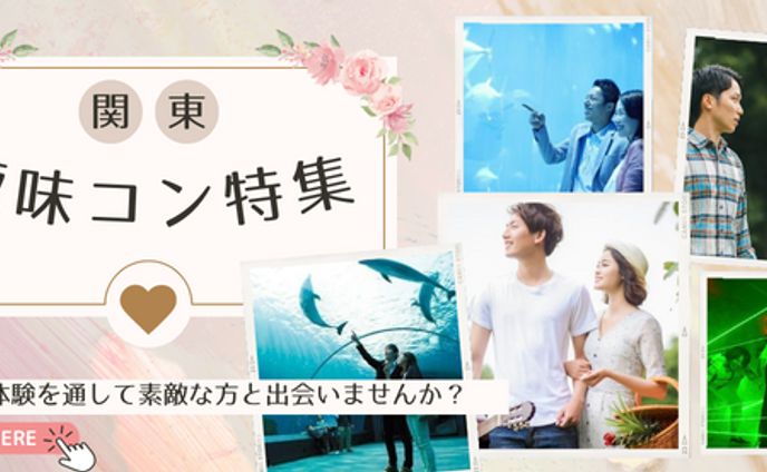 クリエイター、インスタグラム