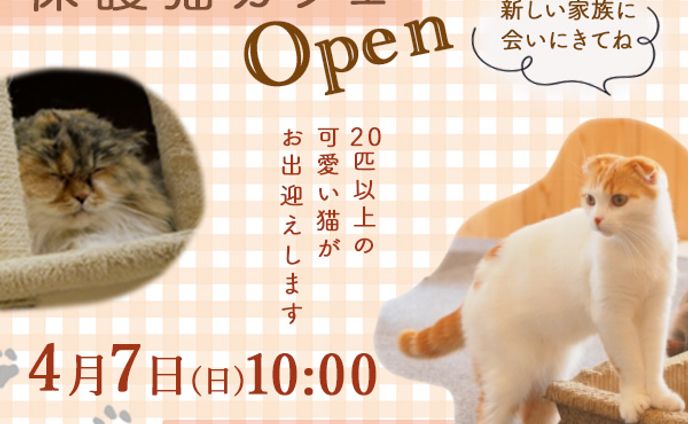保護猫カフェ告知バナー