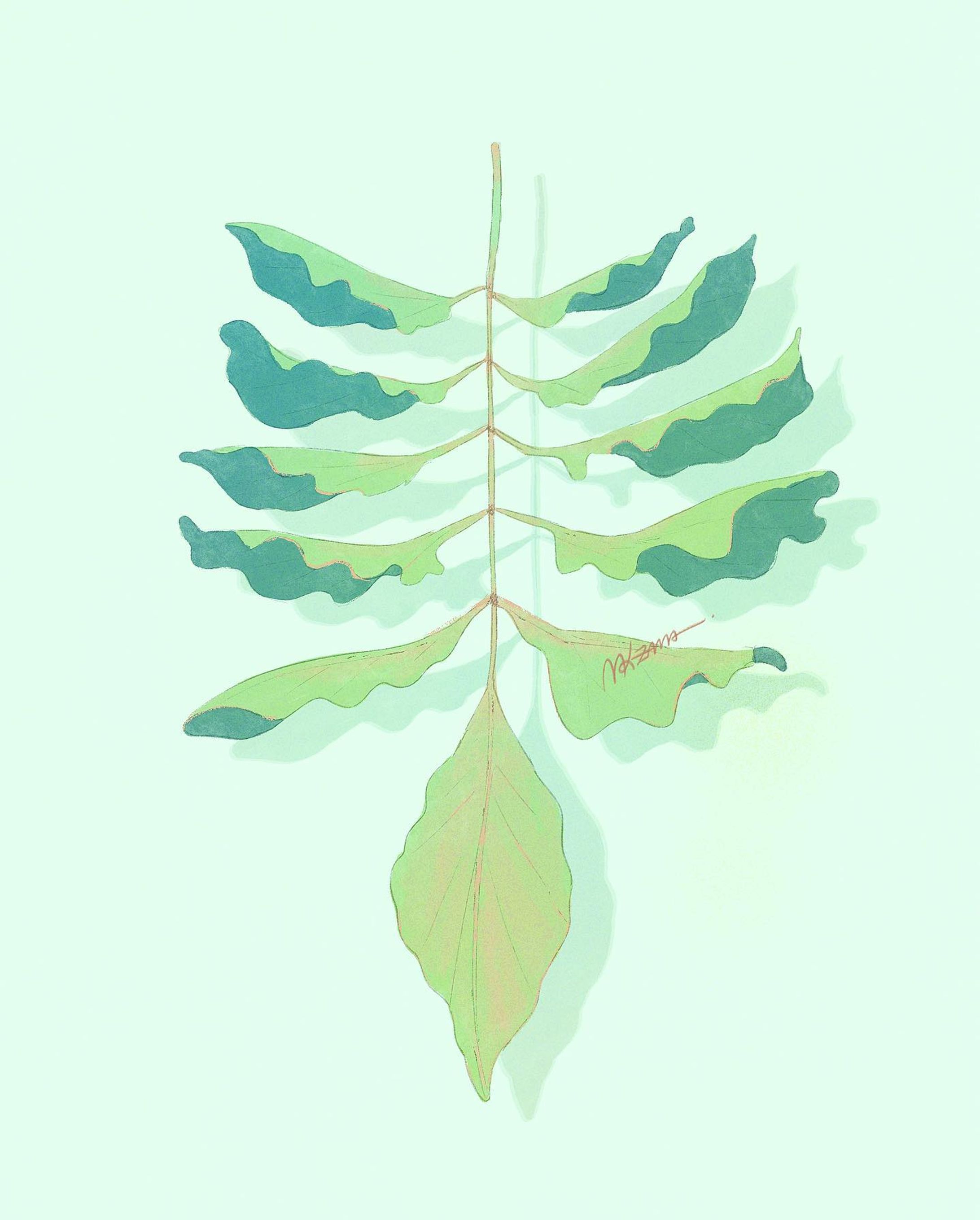 道に落ちてた葉っぱメモ

🌿

#illustration #art #artwork #sketch #drawing #diary #leaf  #life #日記 #記録 #일러스트  #드로잉 #插图-1