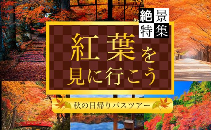 バナー：紅葉ツアー