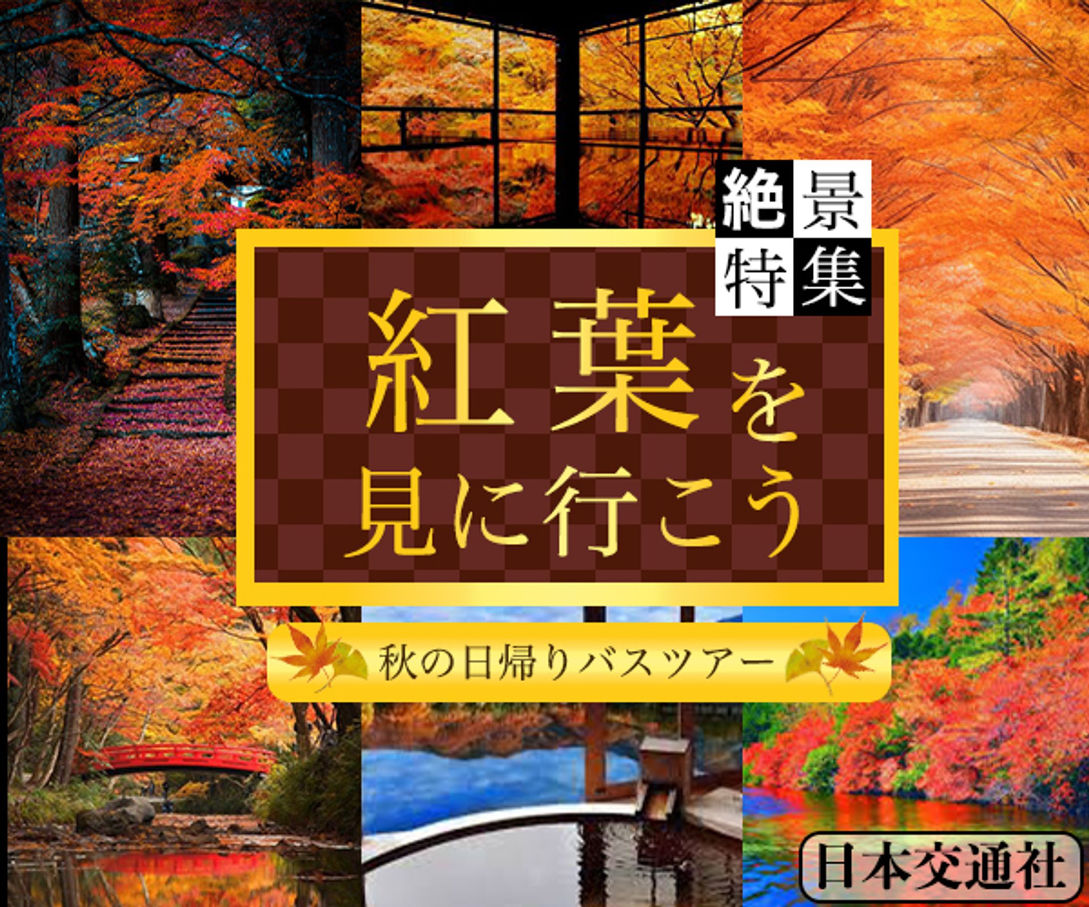 バナー：紅葉ツアー-1