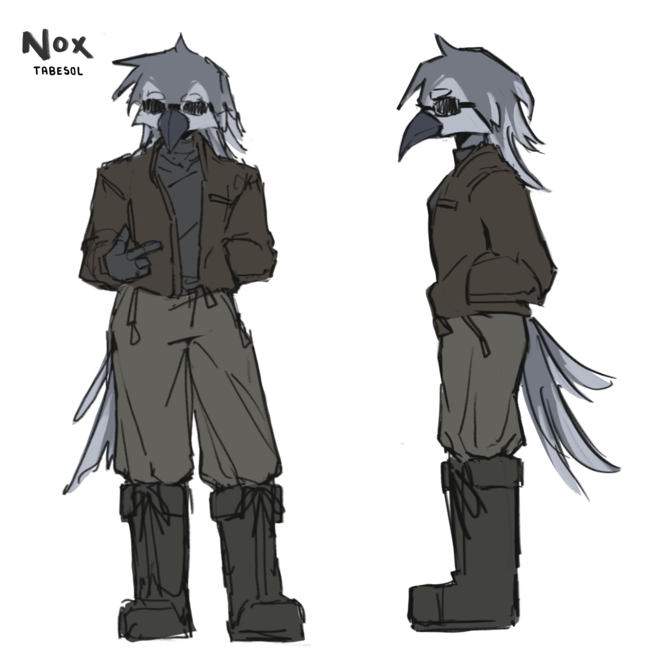 Nox-1