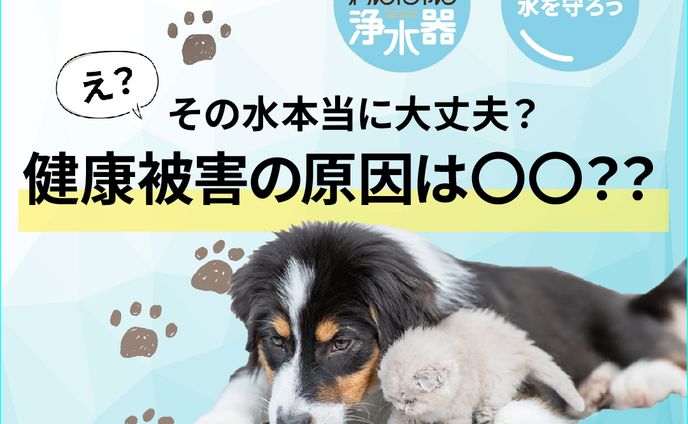 『ペット用品』浄水器/バナー（コンペ・自主制作））