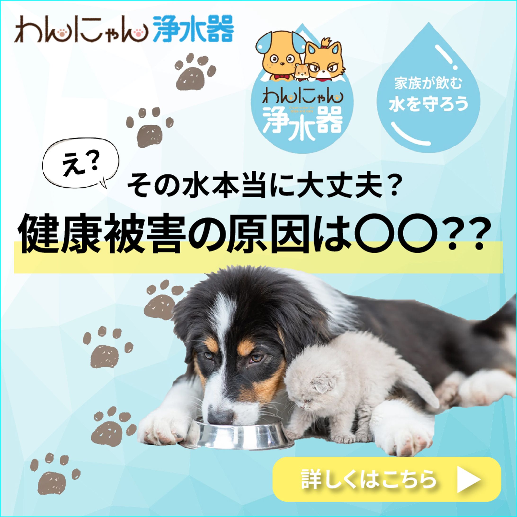 『ペット用品』浄水器/バナー（コンペ・自主制作））-1