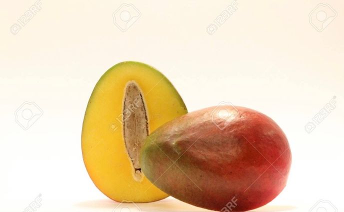 C4A4DE48 CE27 4E26 A6E6 F30BA4D40621