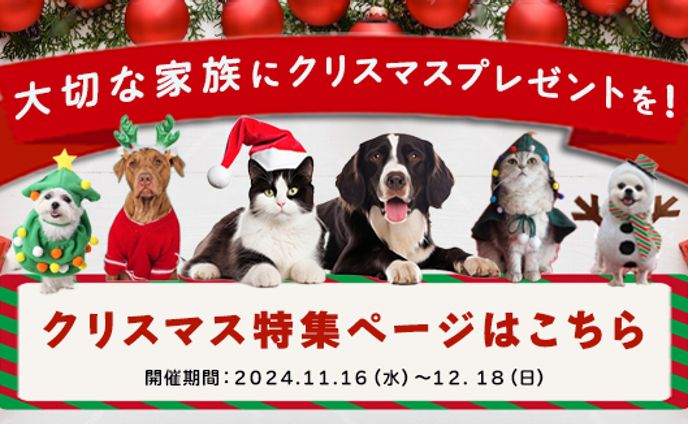 ペット　クリスマス特集