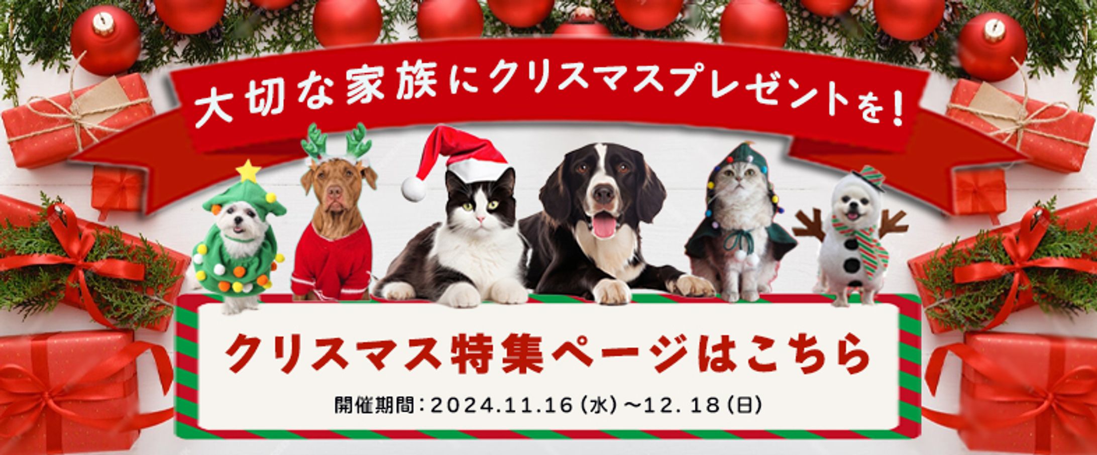 ペット　クリスマス特集-1