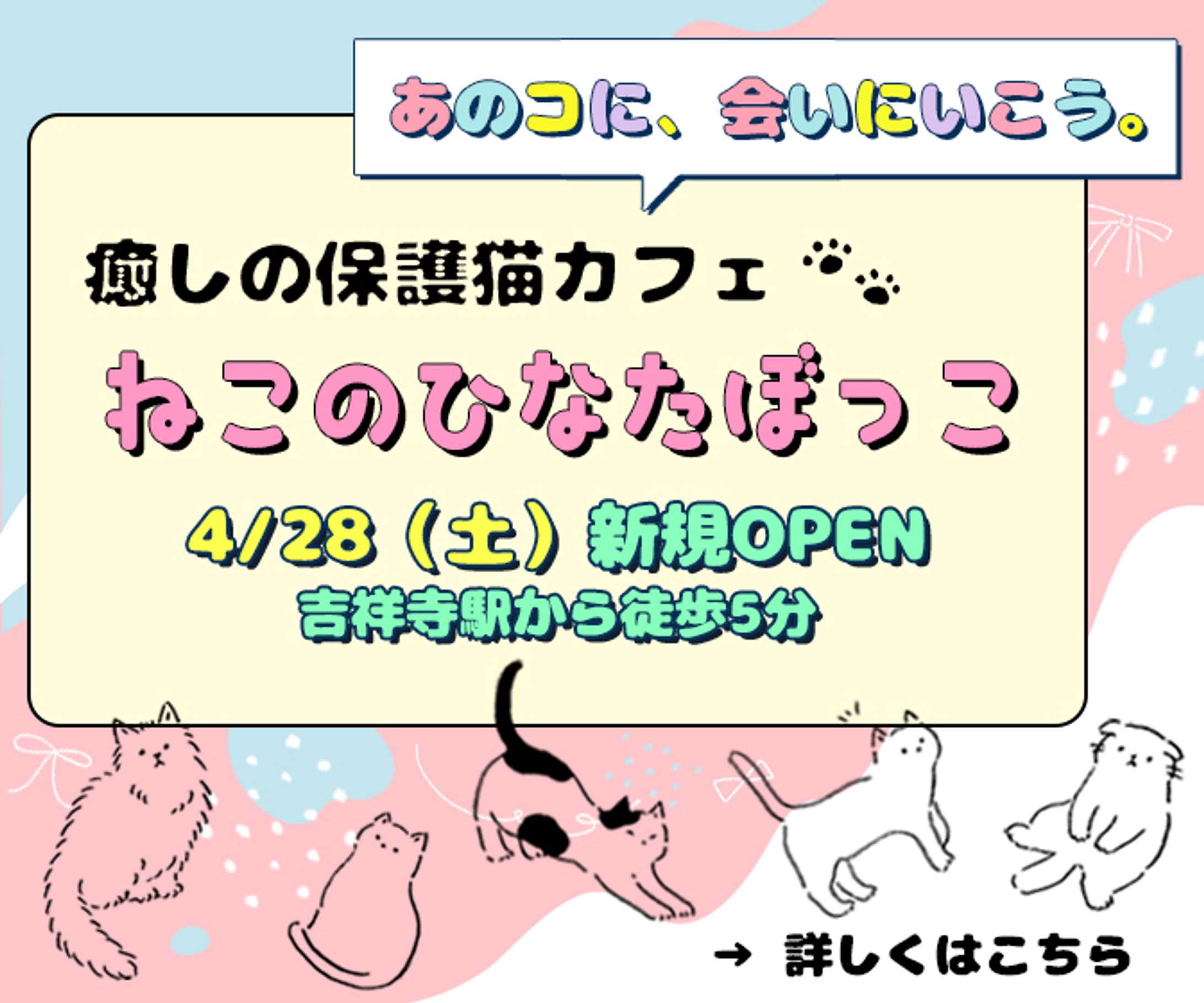 バナー（保護猫カフェ）-1