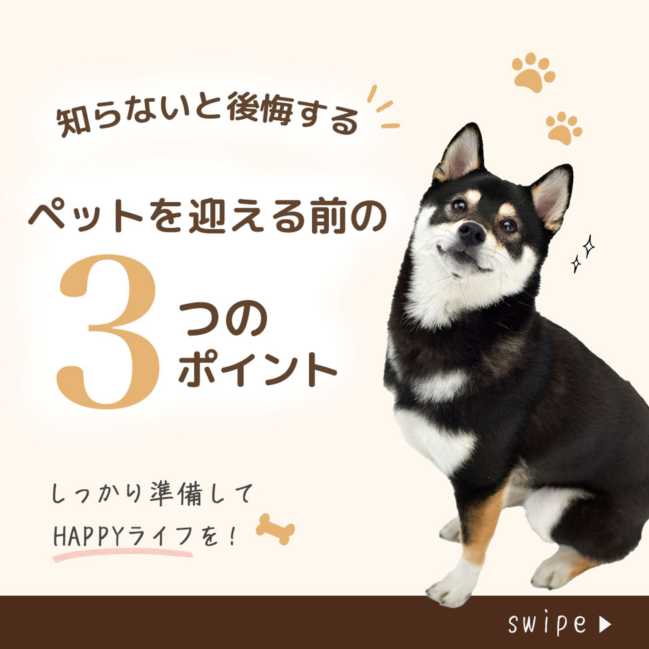 Instagramフィード投稿用バナー　ペットを飼う上で気をつけること-1