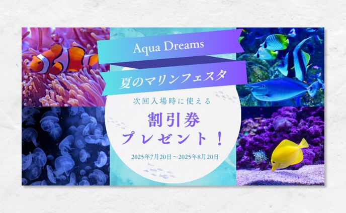 Aqua Dreams様【バナー】