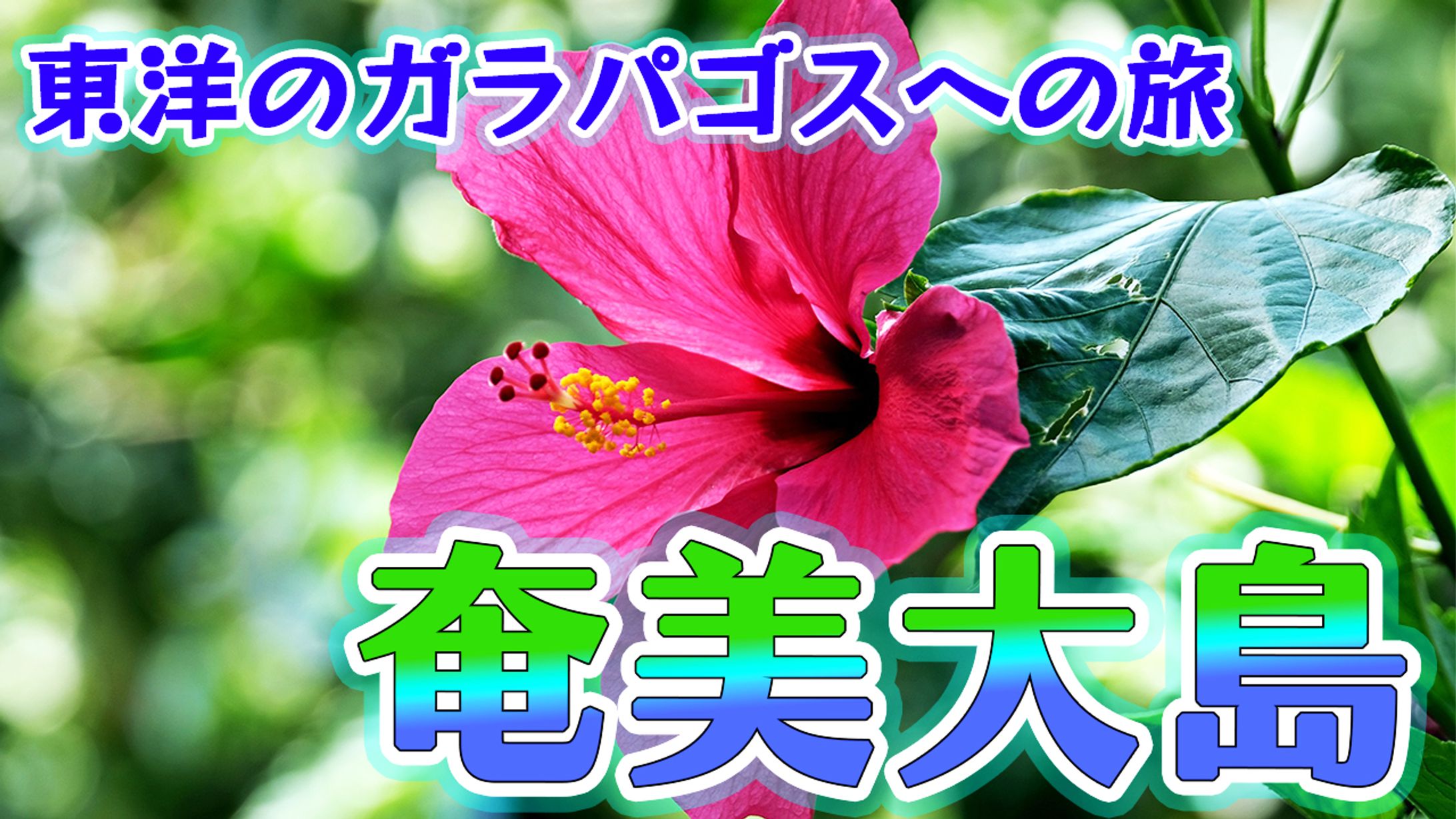 【サムネイル】エンタメ系　東洋のガラパゴス　奄美大島　-1