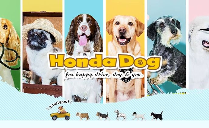 わんこと一緒に楽しいおでかけ情報をお届け Honda Dog.(本田技研工業株式会社)