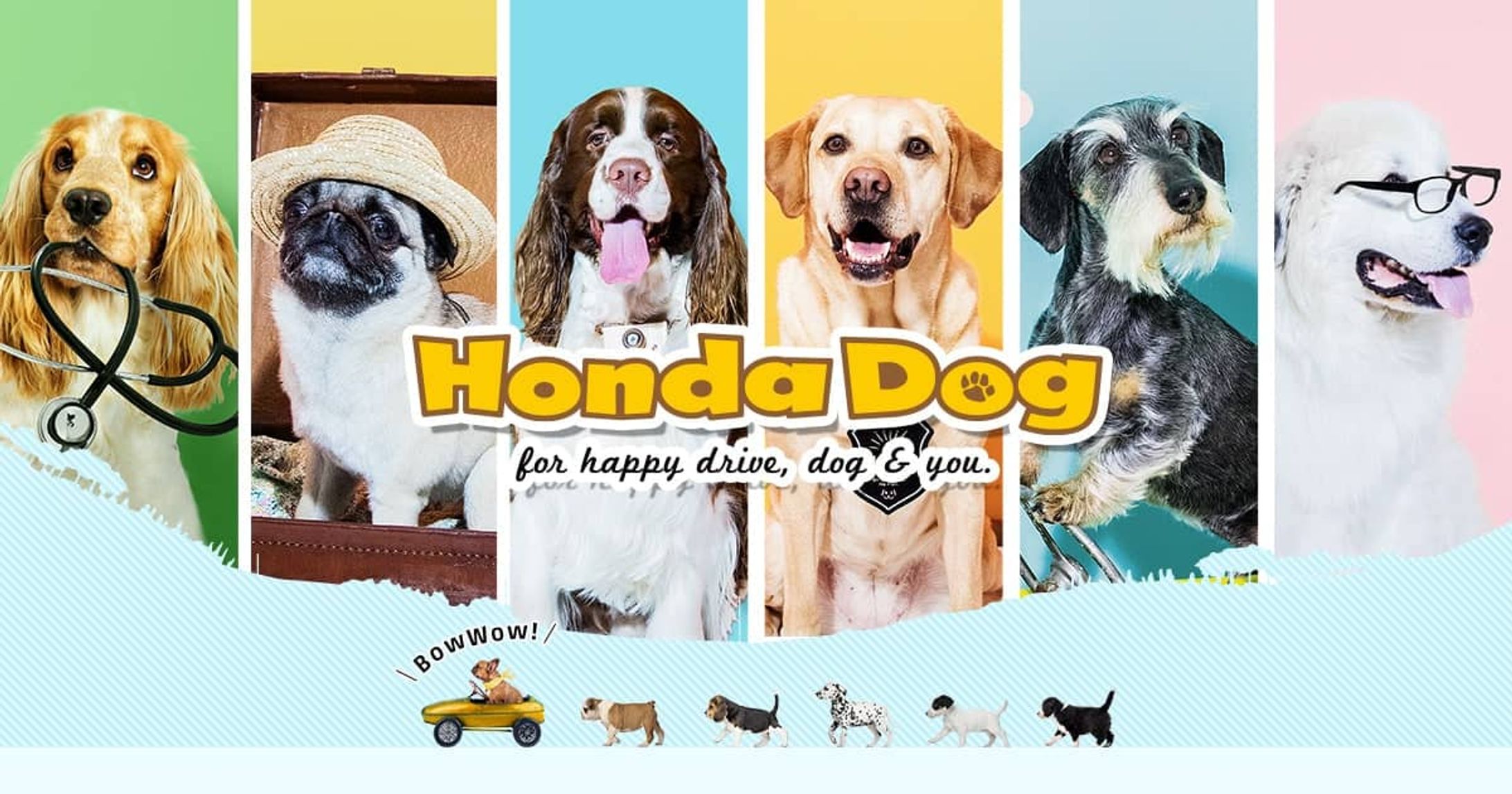 わんこと一緒に楽しいおでかけ情報をお届け Honda Dog.(本田技研工業株式会社)-1