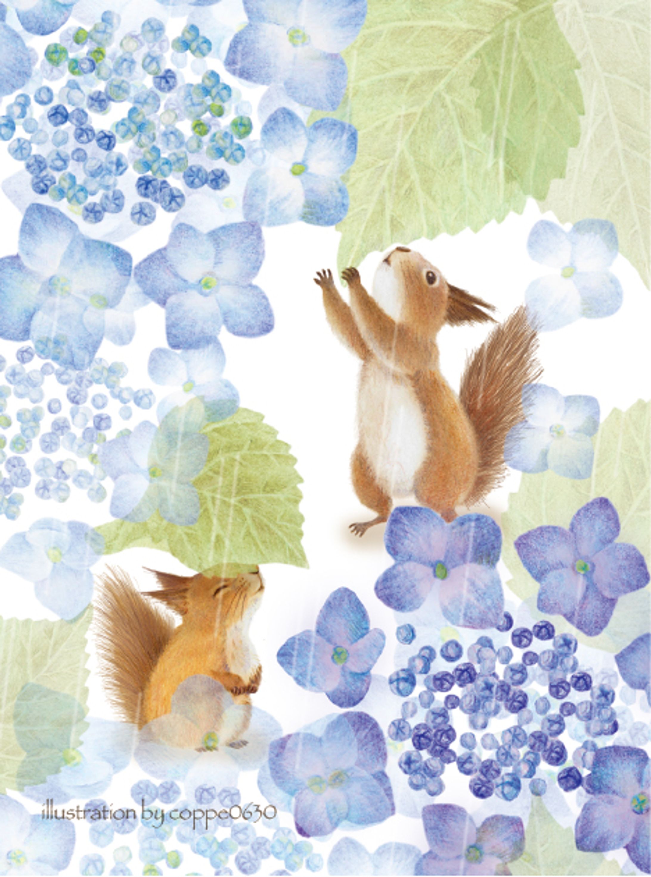 リスと紫陽花-1