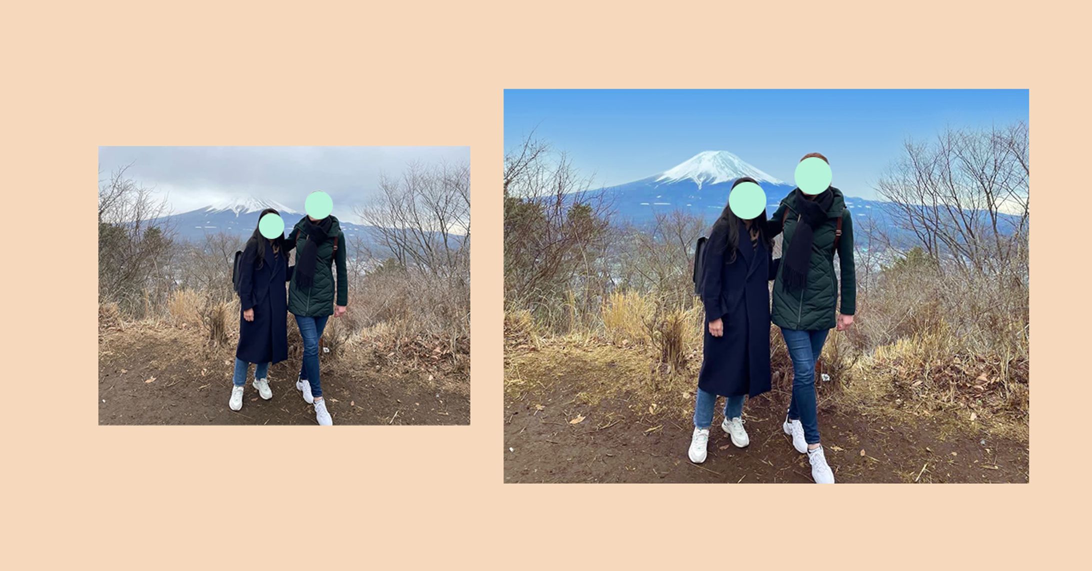 ｛実案件｝富士山-1