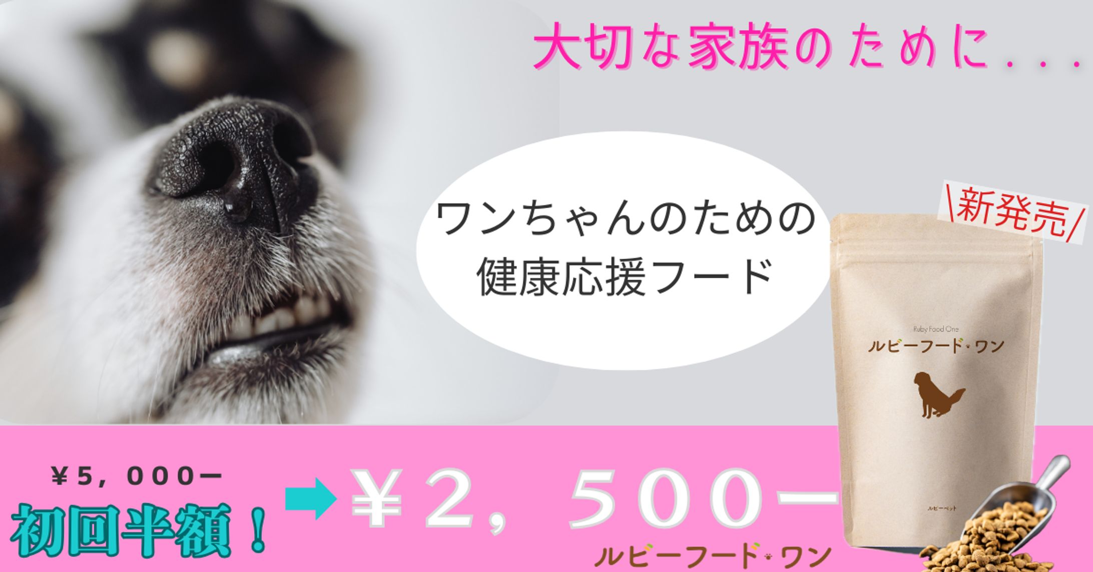 【HerTech 架空案件】ペットフードバナー-1