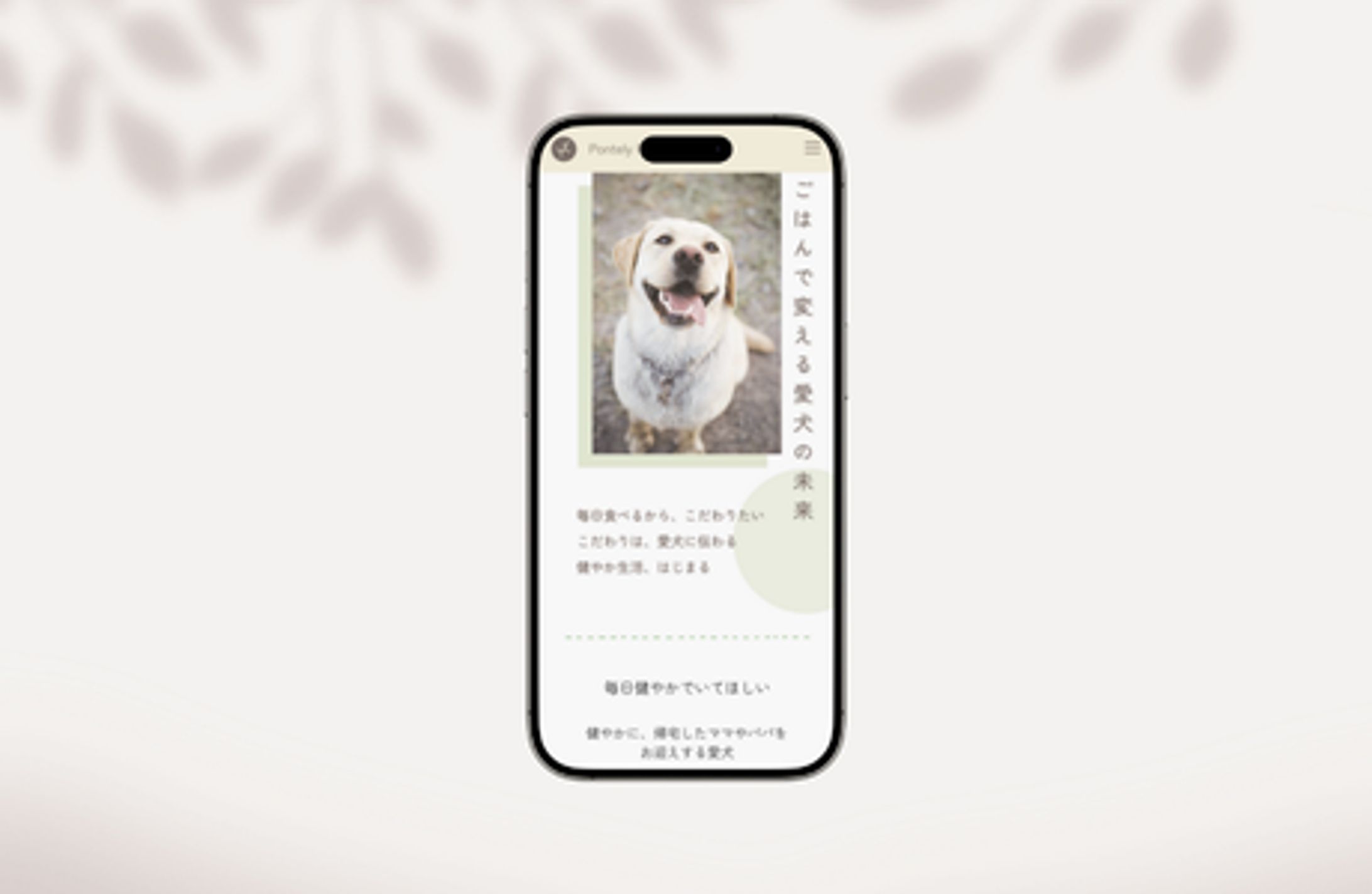 ECサイト｜デザイン制作-1