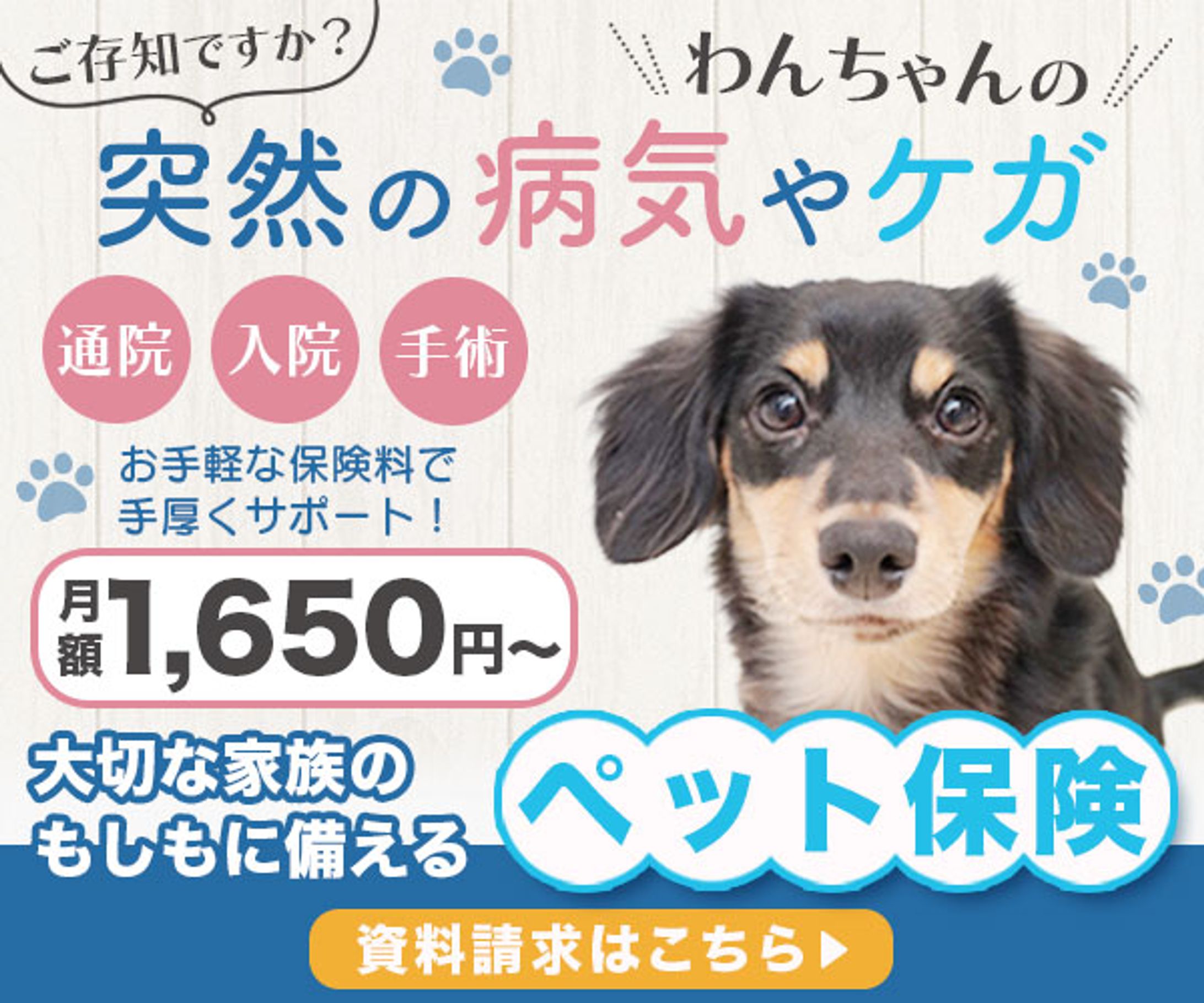 ペット保険バナー-1