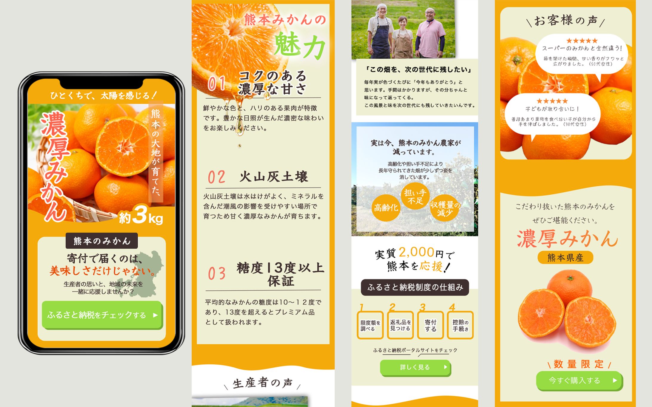 熊本みかん　ふるさと納税LP-1