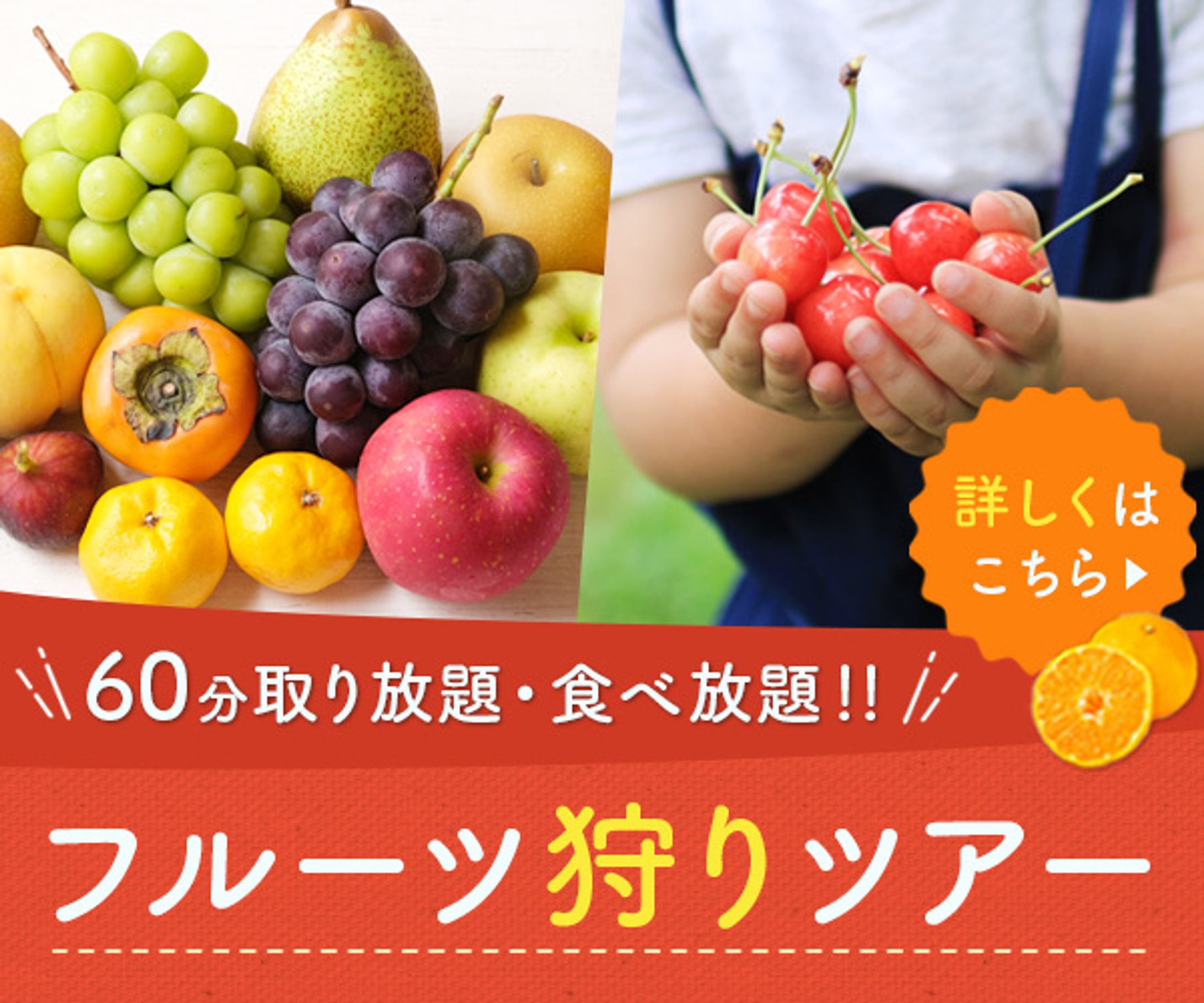 フルーツ狩り バナー-1