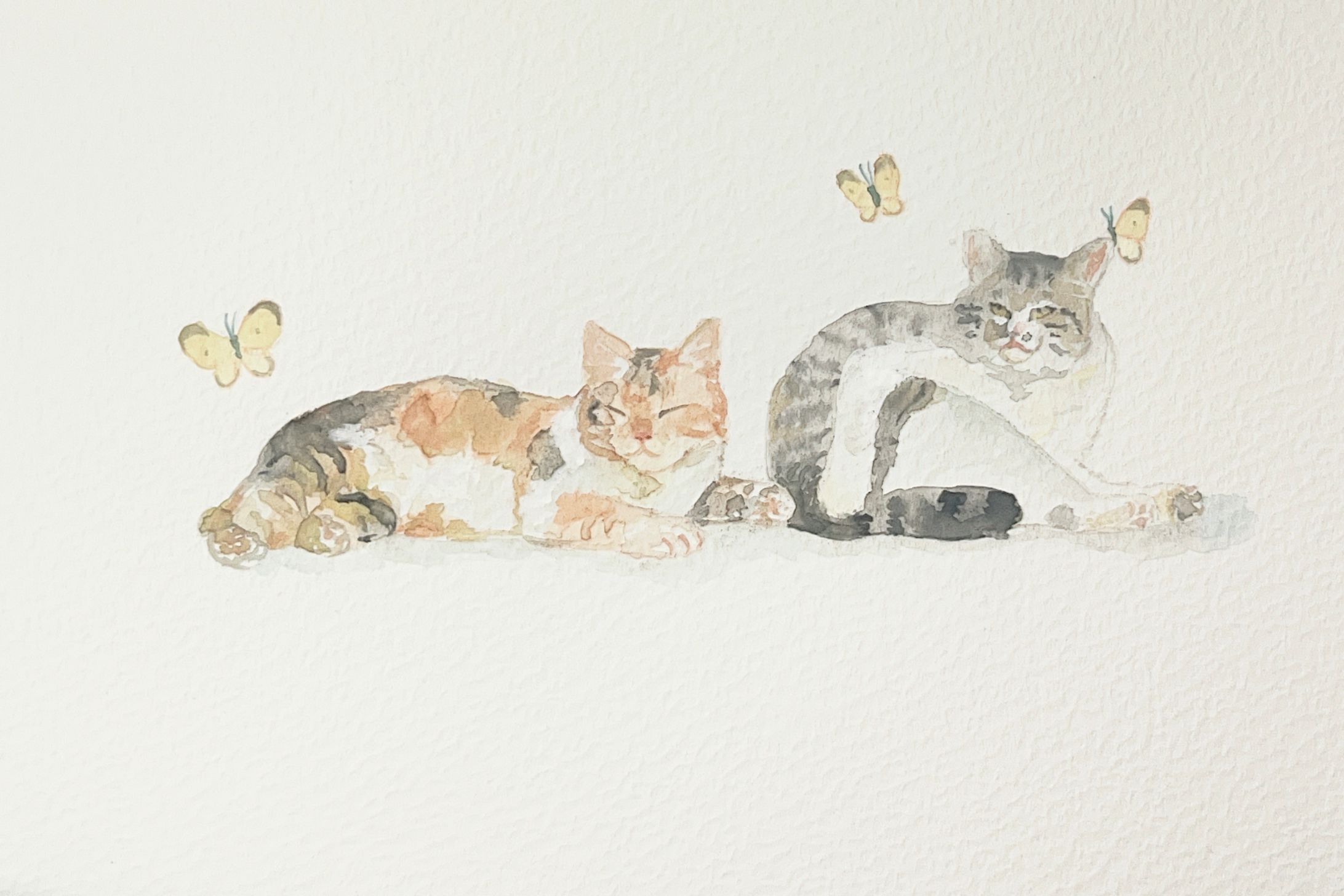 暮らしのなかの猫たち-1
