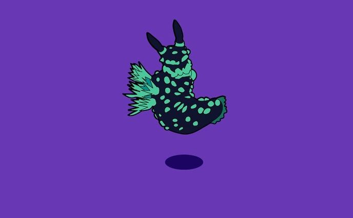 トサカリュウグウウミウシ