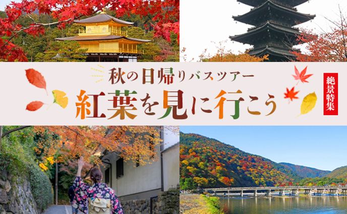 バスツアー　バナー　