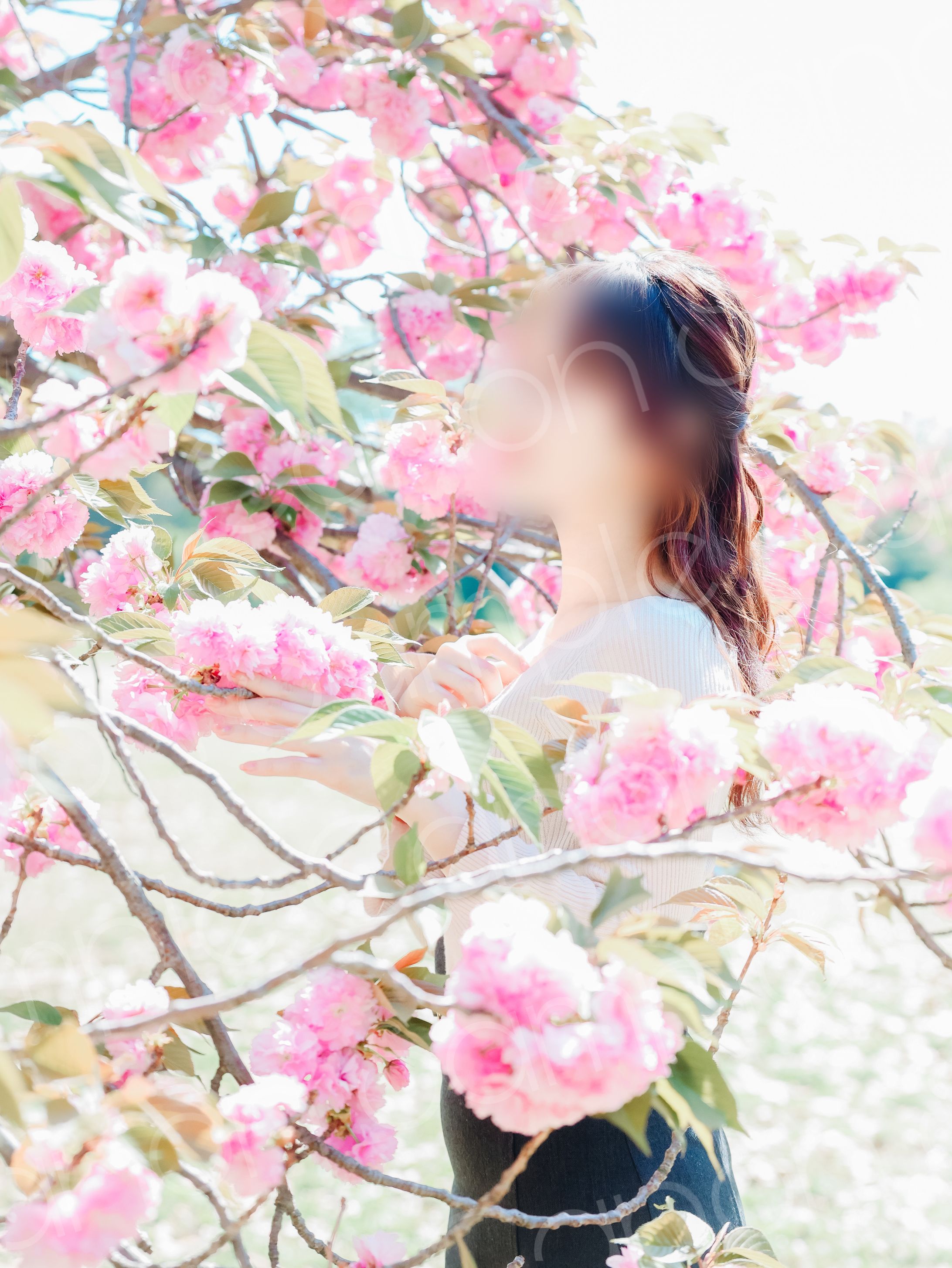 24年4月🌸桜撮影@中央区公園-1