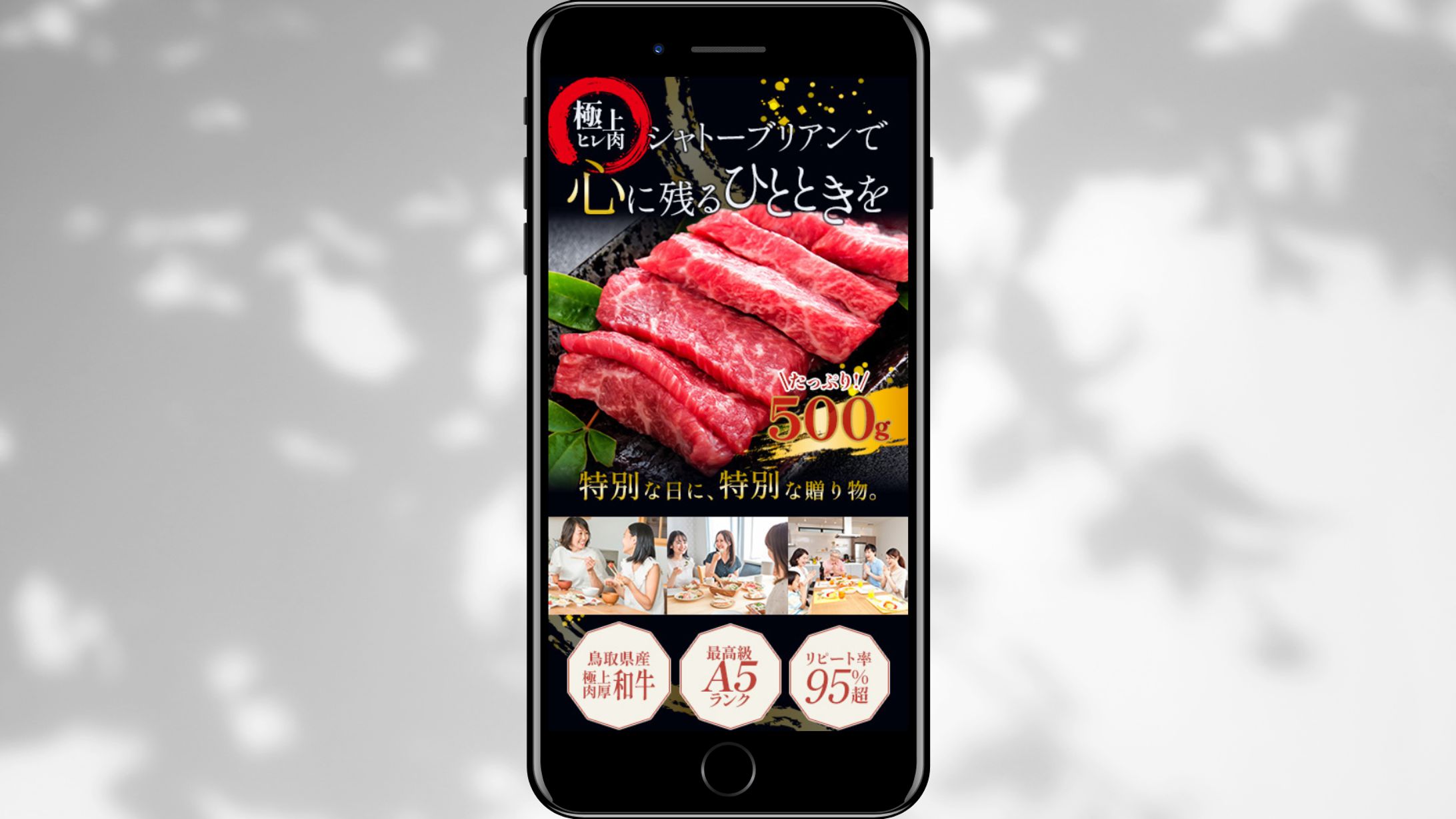 食品LP_FV-1