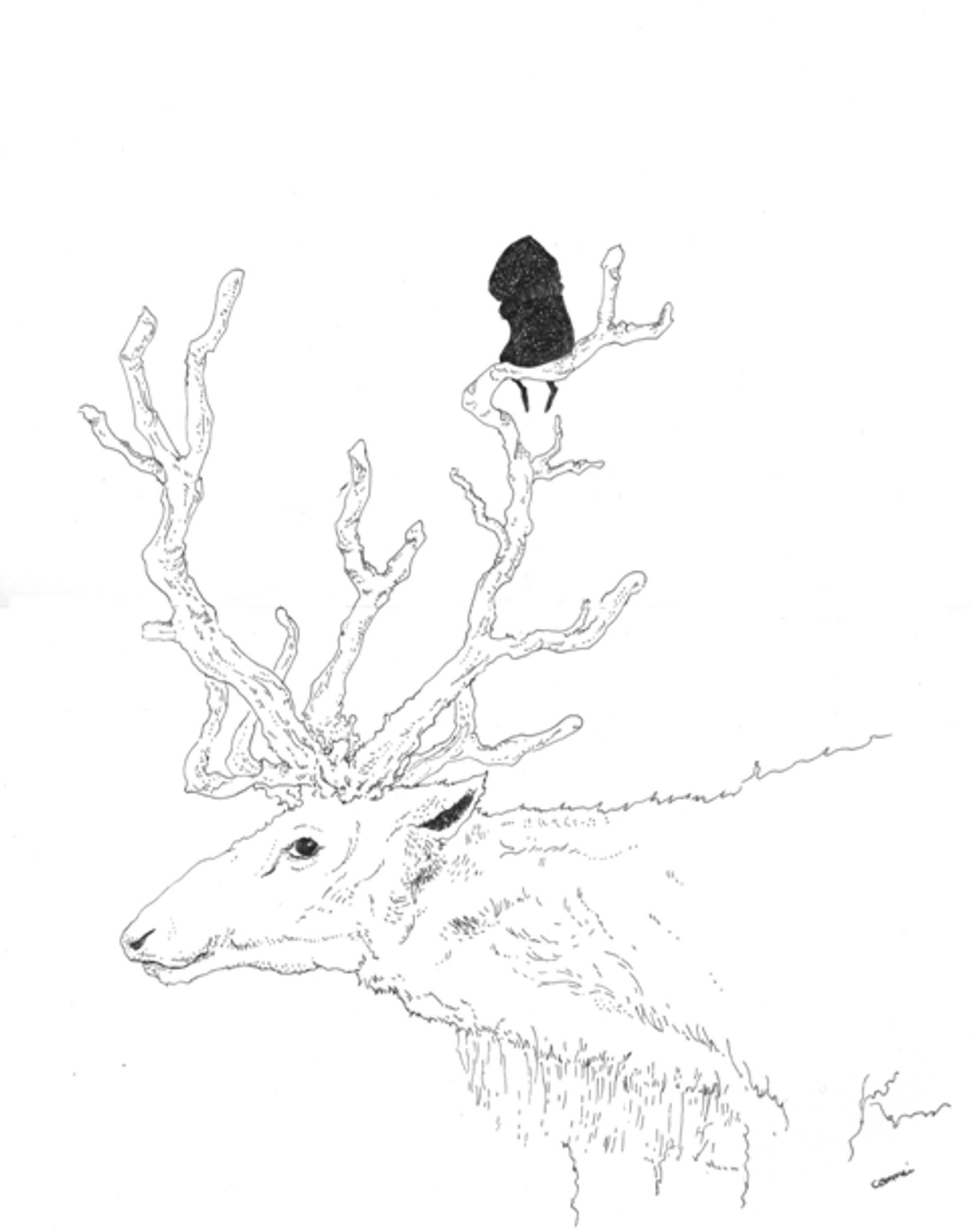 アナログイラスト-1
