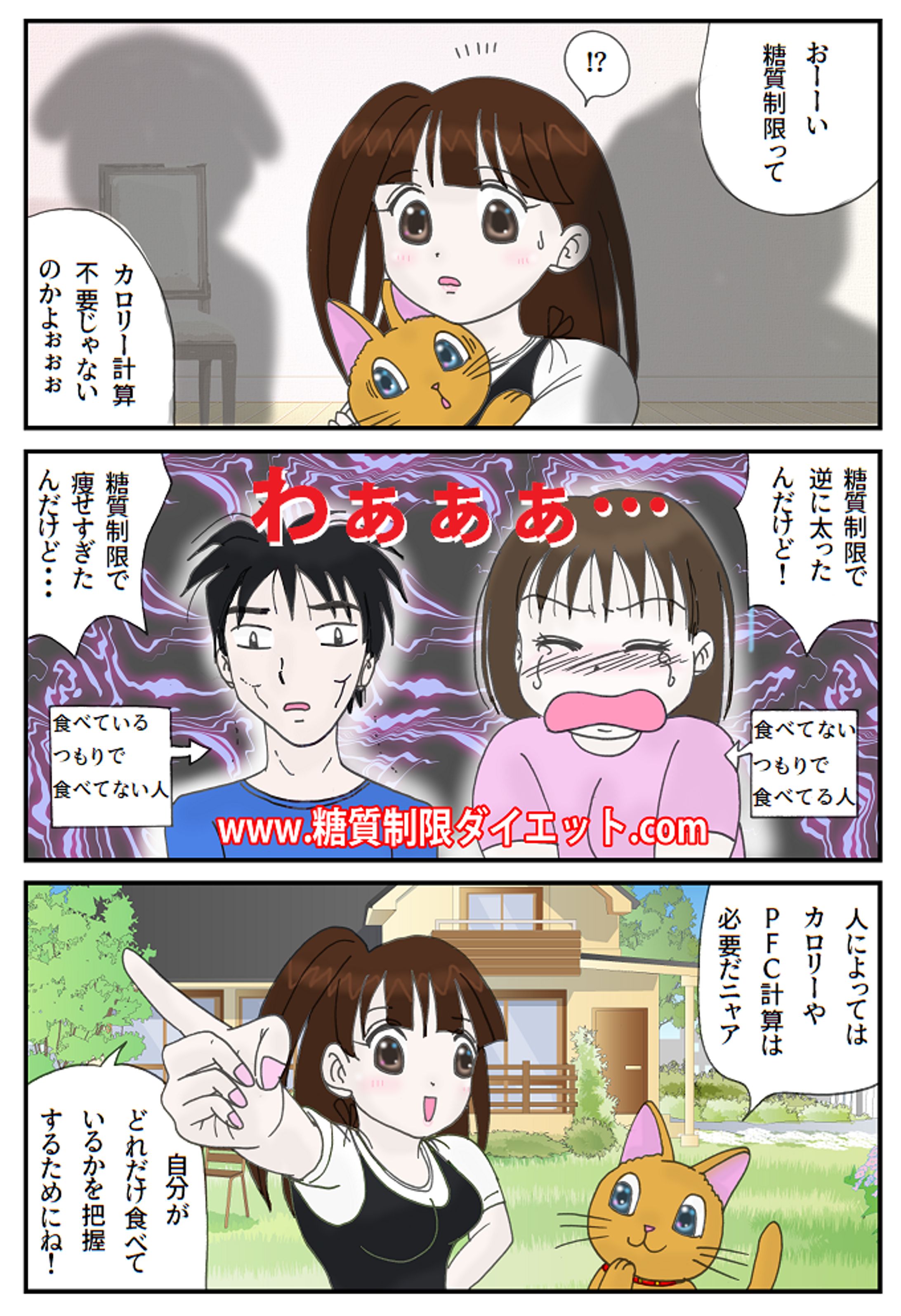 糖質制限ダイエットでもカロリーやPFC計算は必要かもしれない-1