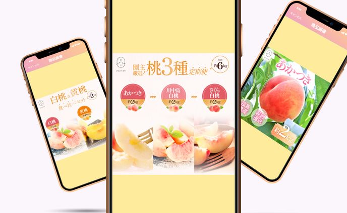 【ふるさと納税商品画像】株式会社YR様