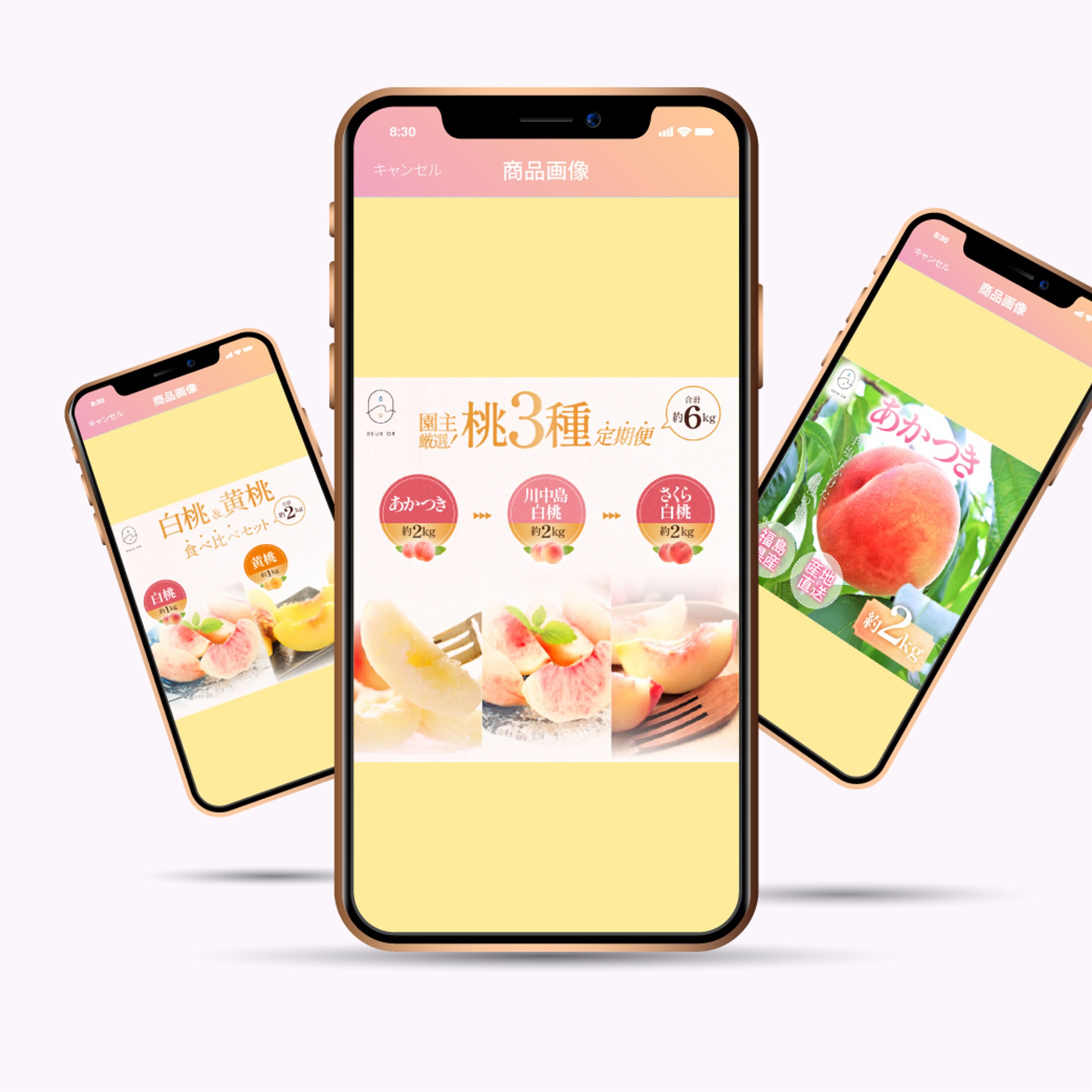 【ふるさと納税商品画像】株式会社YR様-1