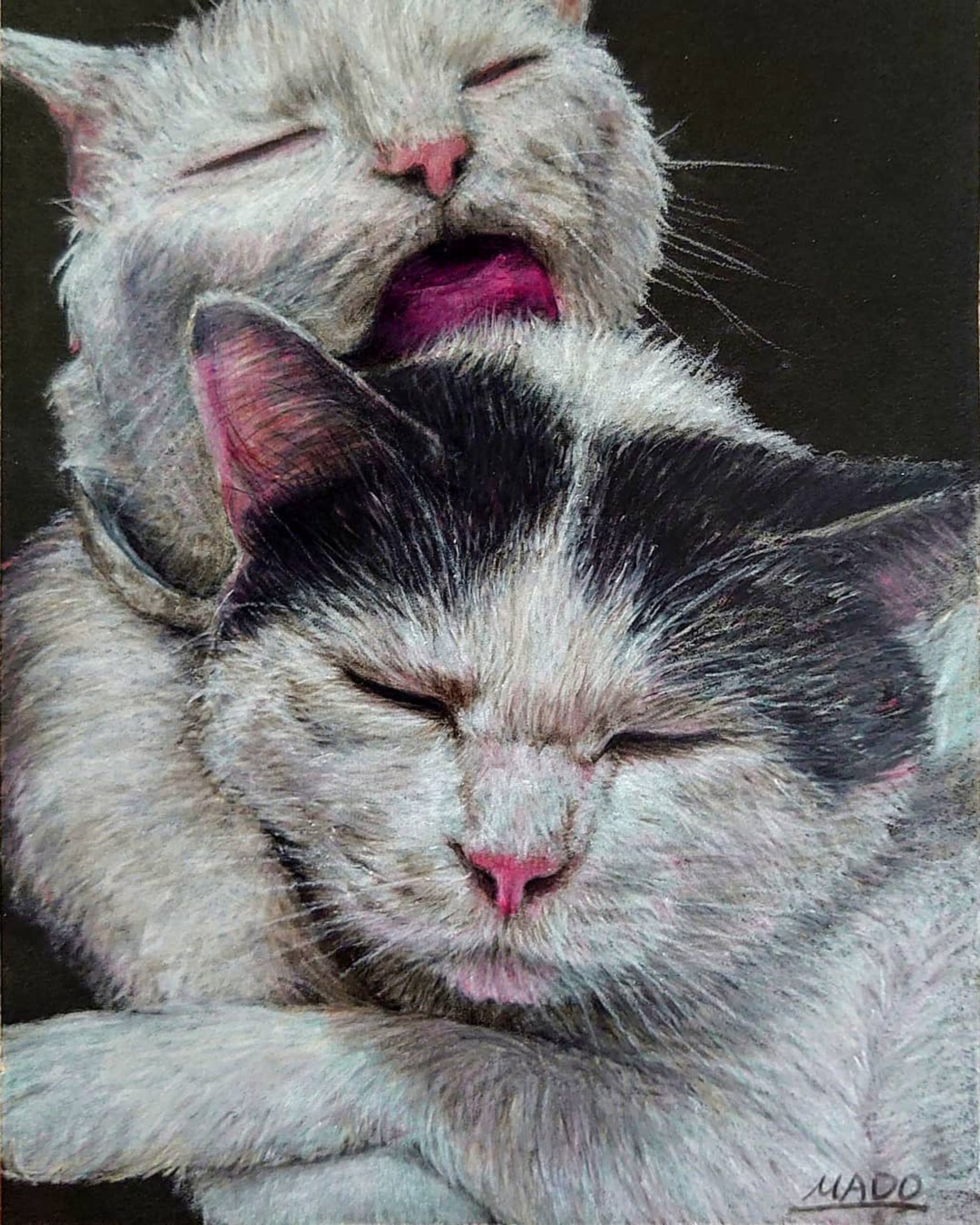 Artstickerで販売予定だよ！

仲良し （182×128mm）／紙・色鉛筆

#仲良し #cat #猫

#animalillustration #芸術 #アート #animal #動物 #かわいい #色鉛筆 #colorpencil #picture #cute #animalartist #animaldrawing #realist #イラスト #絵 #illust #illustration #illustrator  #draw #drawing  #art #artwork #artist #sketch  #works #Artsticker #外出自粛-1