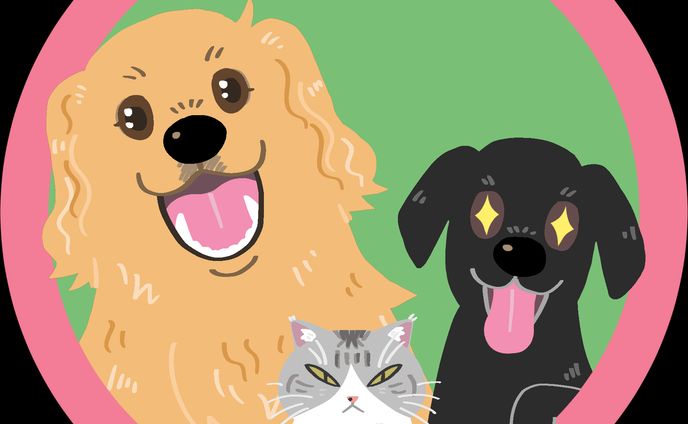 犬猫