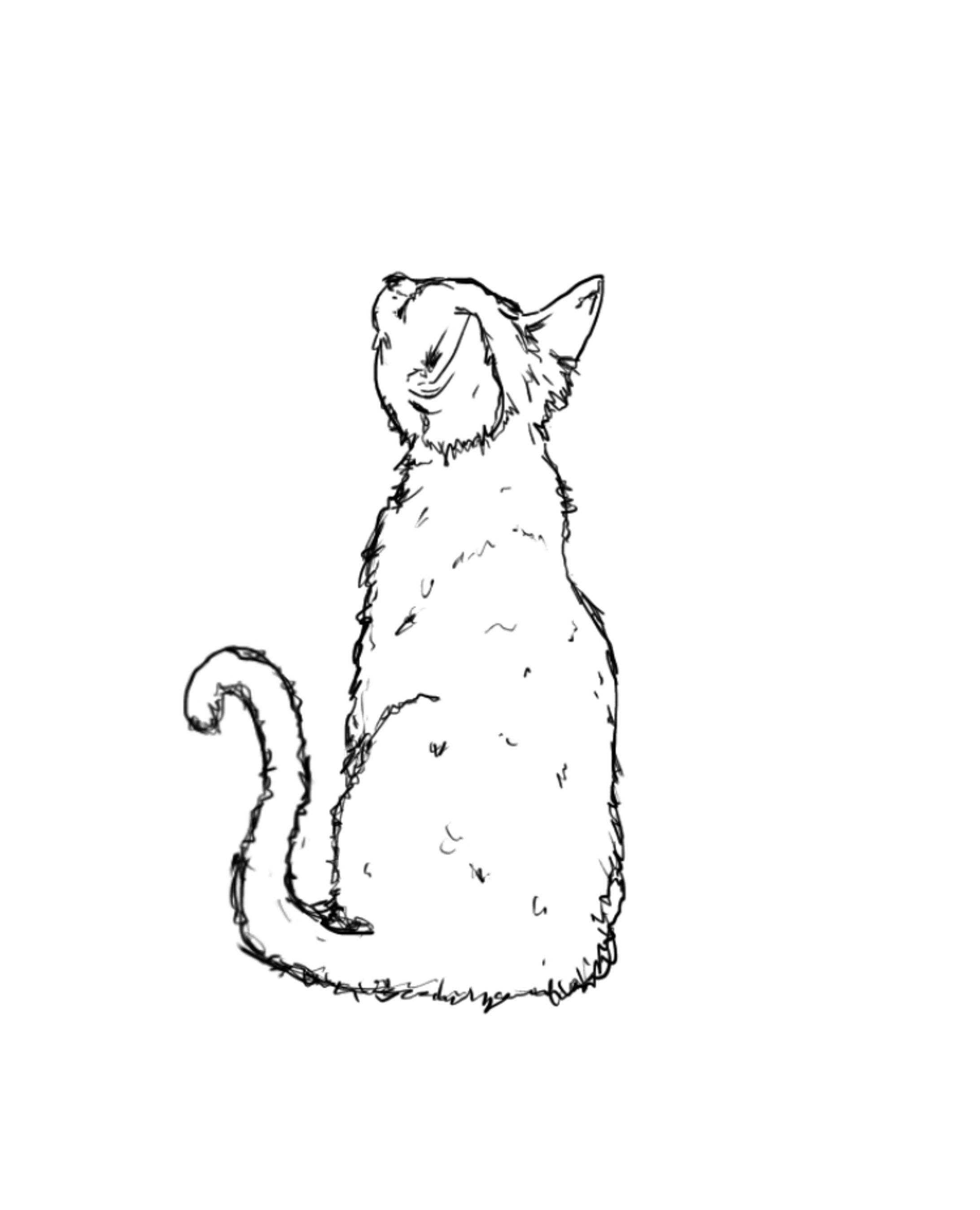 猫イラスト-1