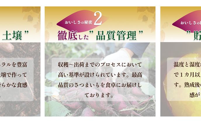 紹介、ブランドデザイン