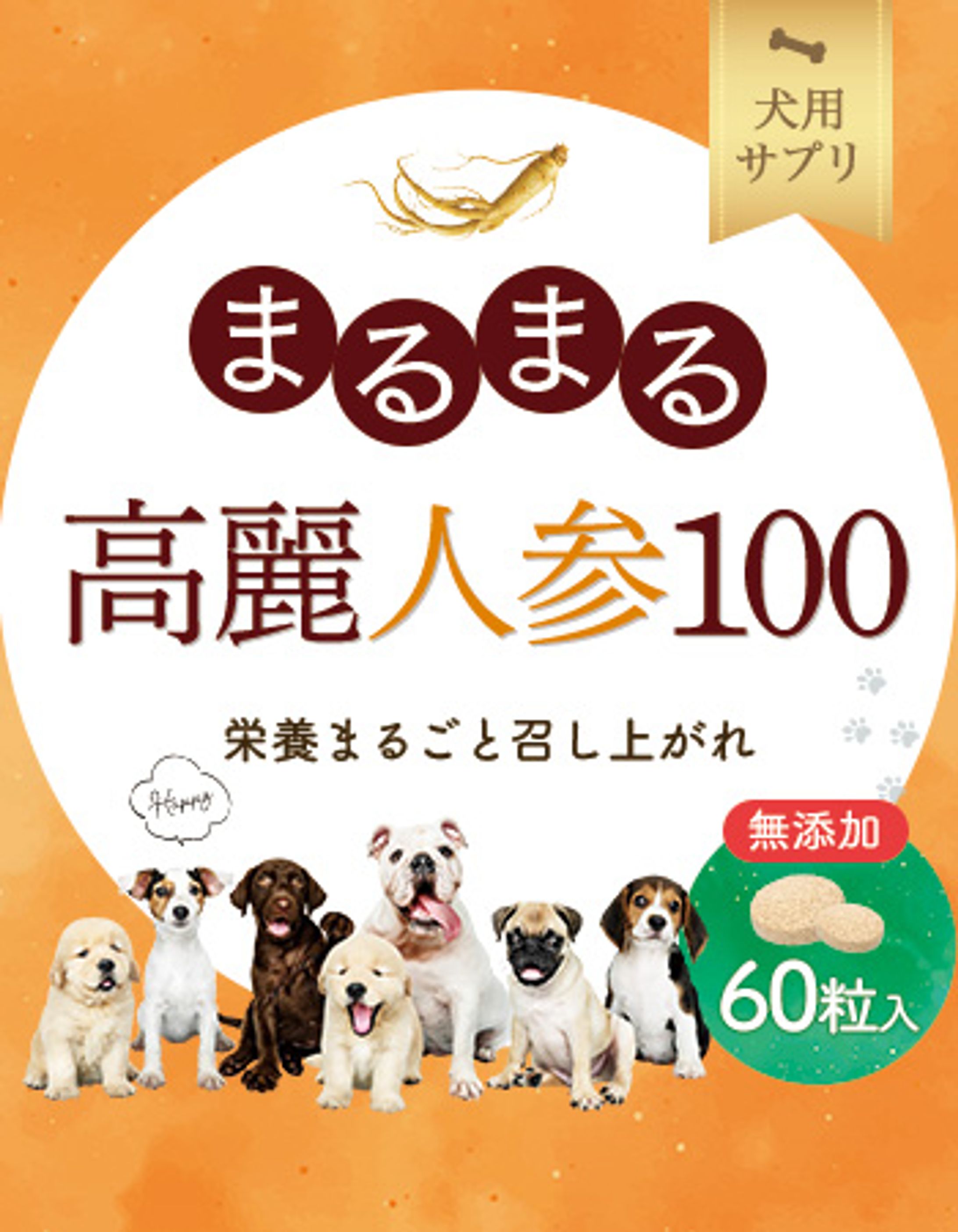 パッケージ：犬用サプリ-1