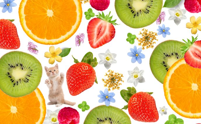  fruit background