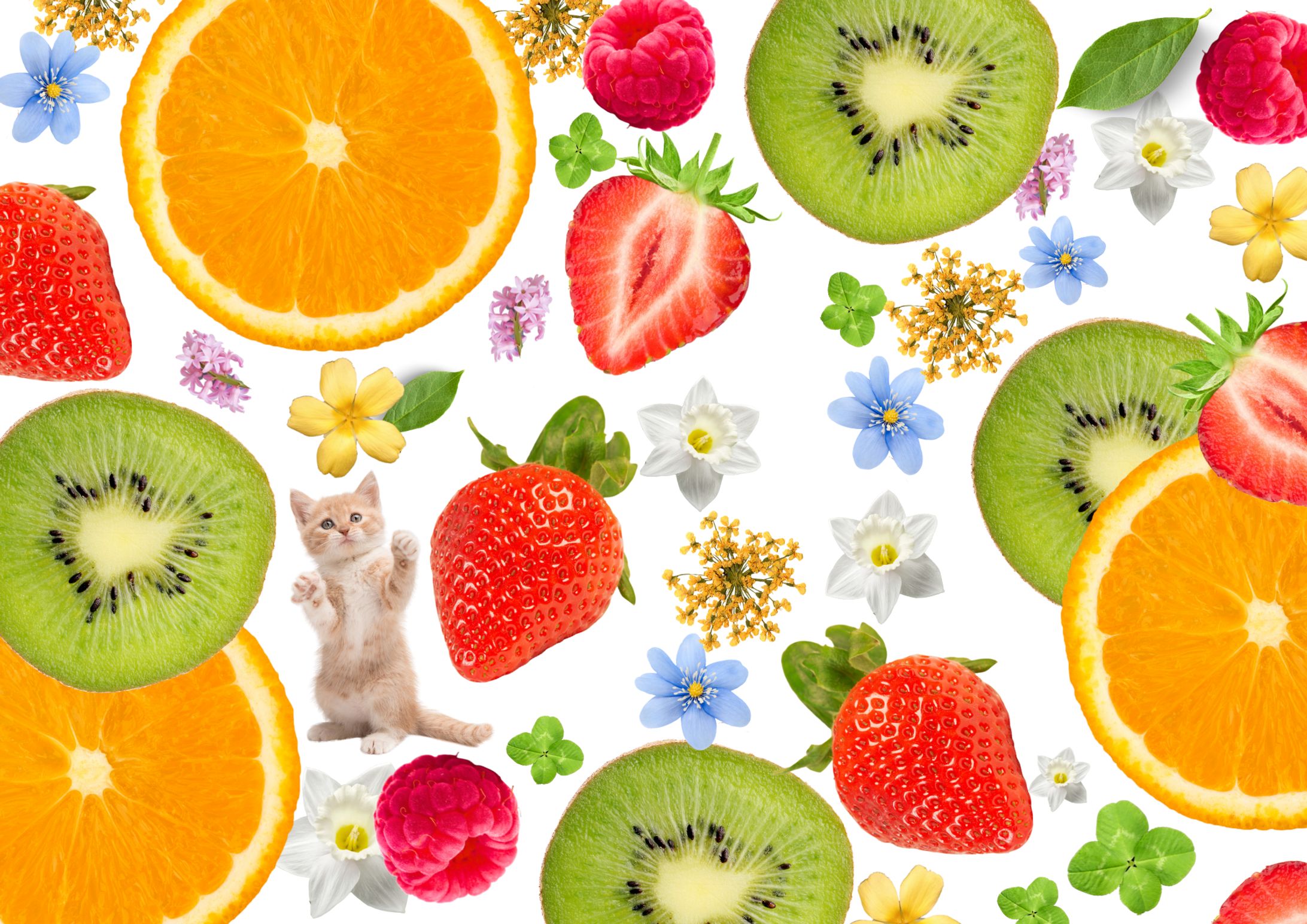  fruit background-1